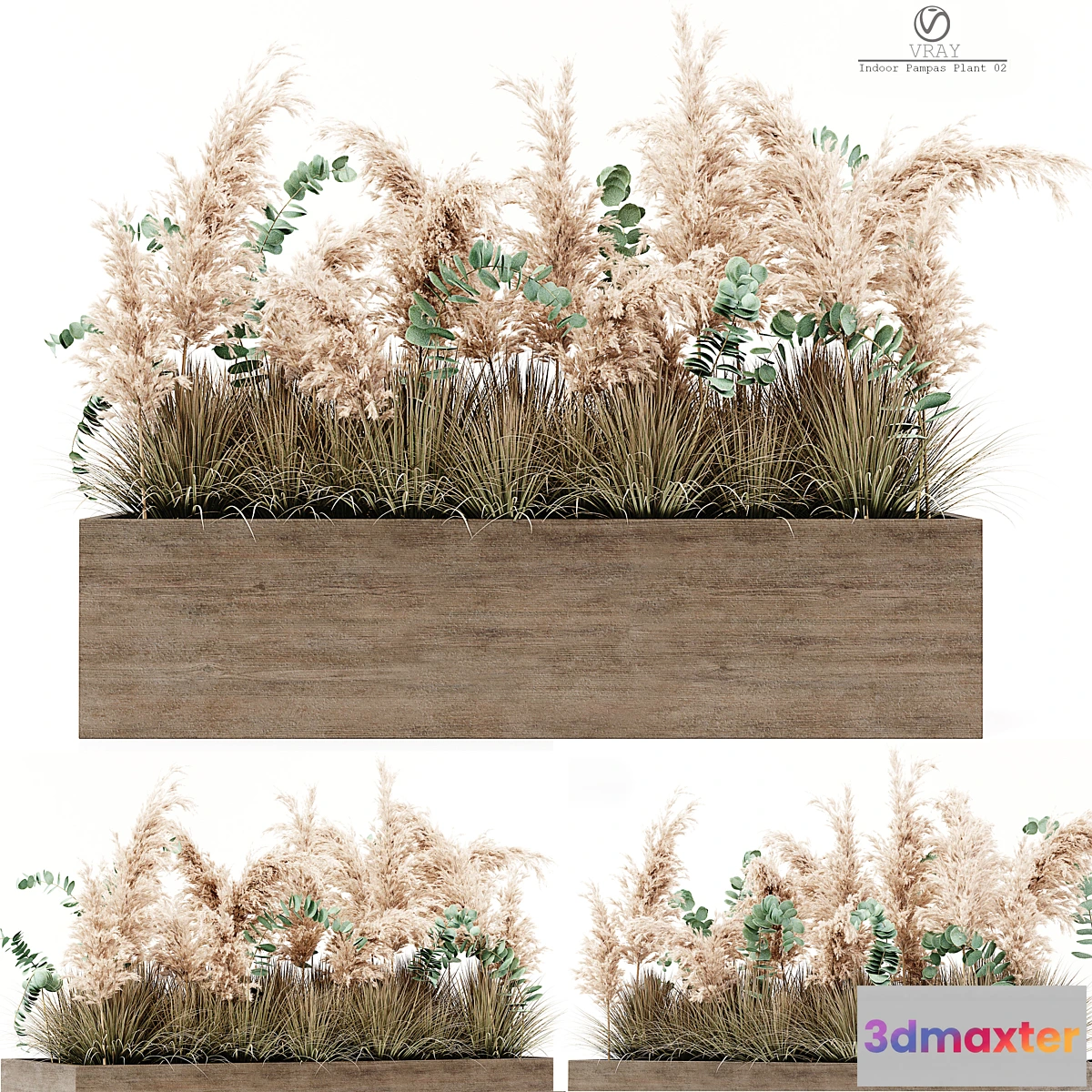 618211 - Indoor Pampas Plant 02 - No.2