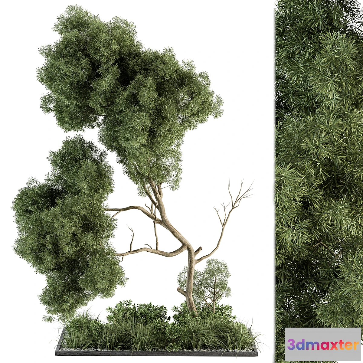 618227 - Garden Set Plants and Tree - Outdoor Plants Set 355