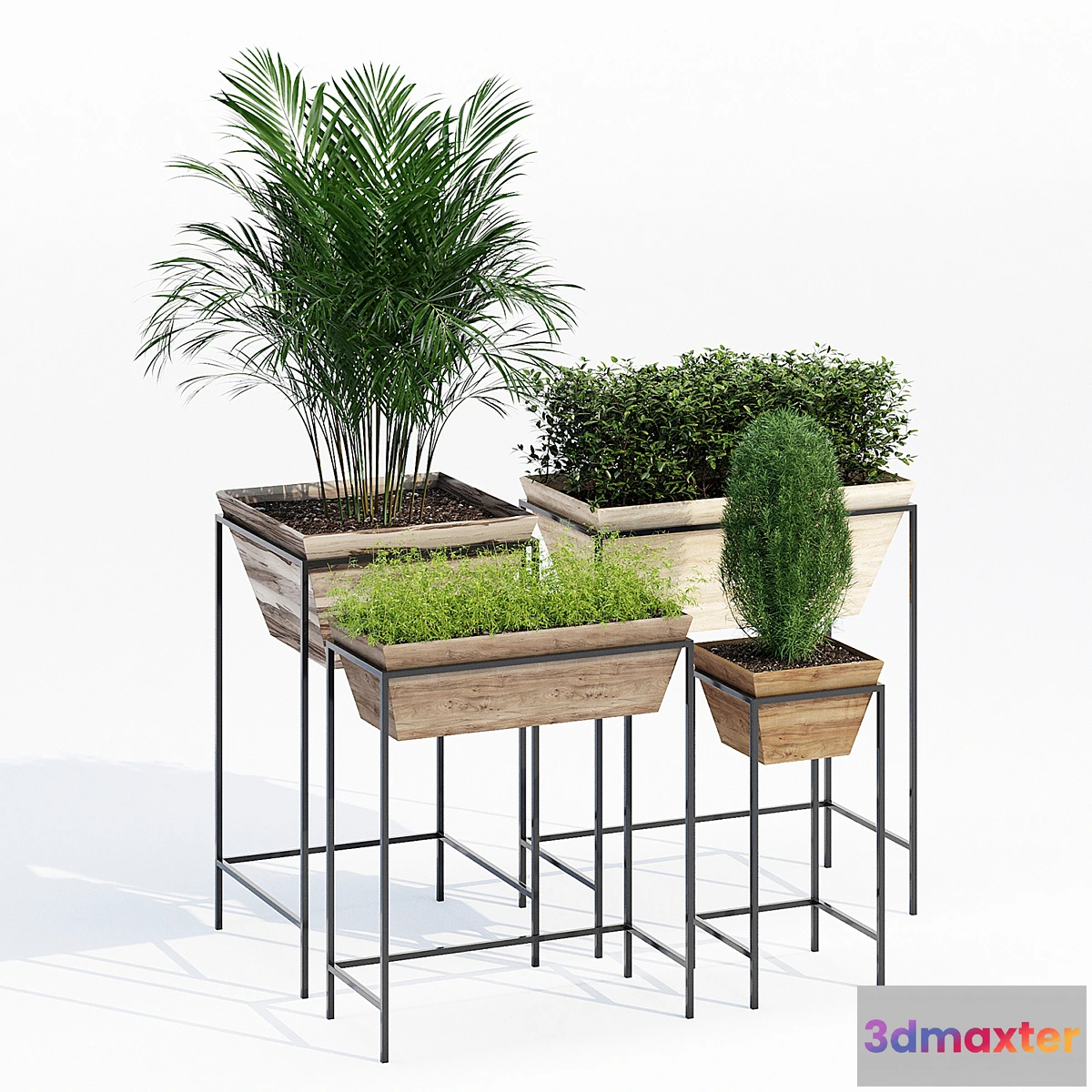 618313 - Reanne callam