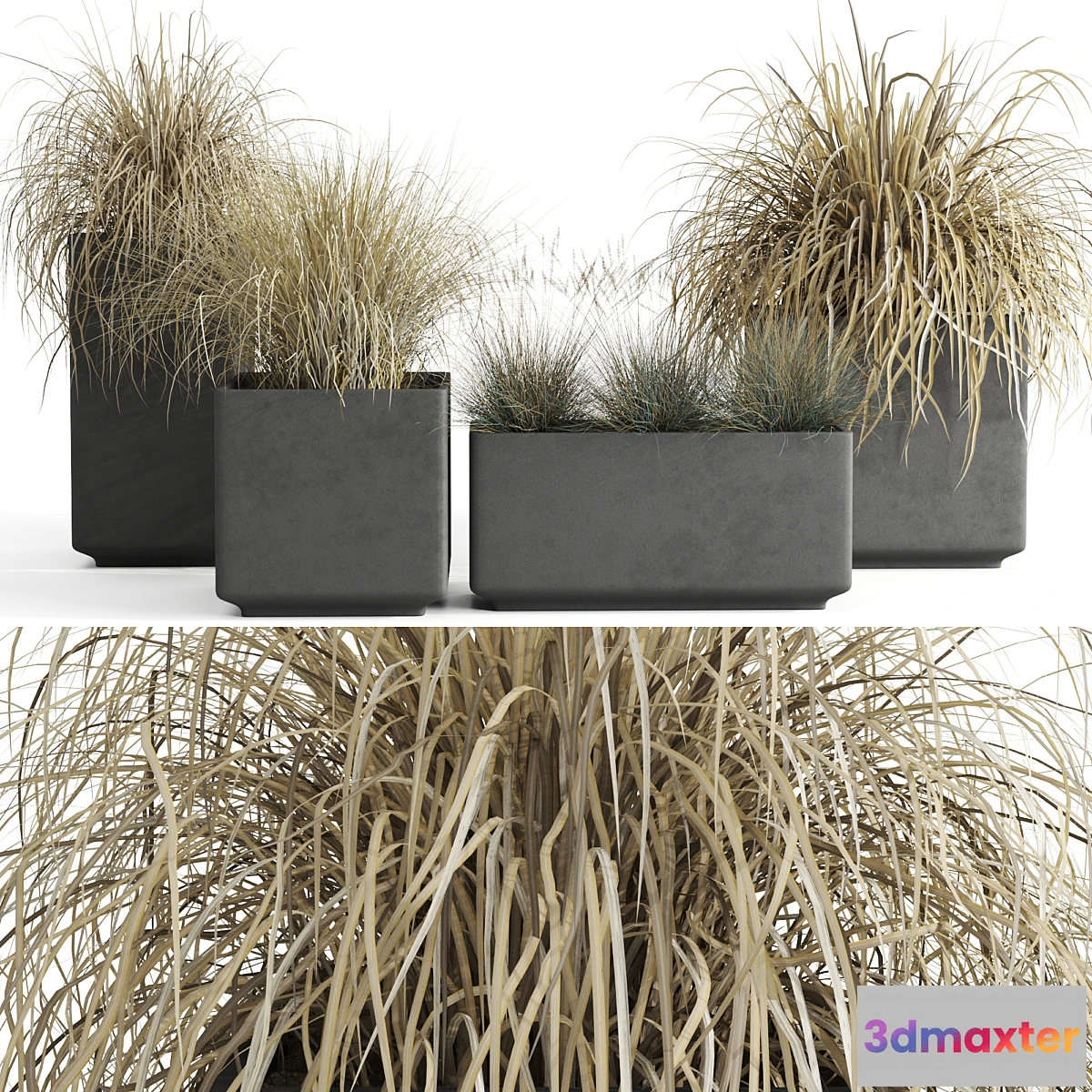 618335 - Dry decorative cereals in pots