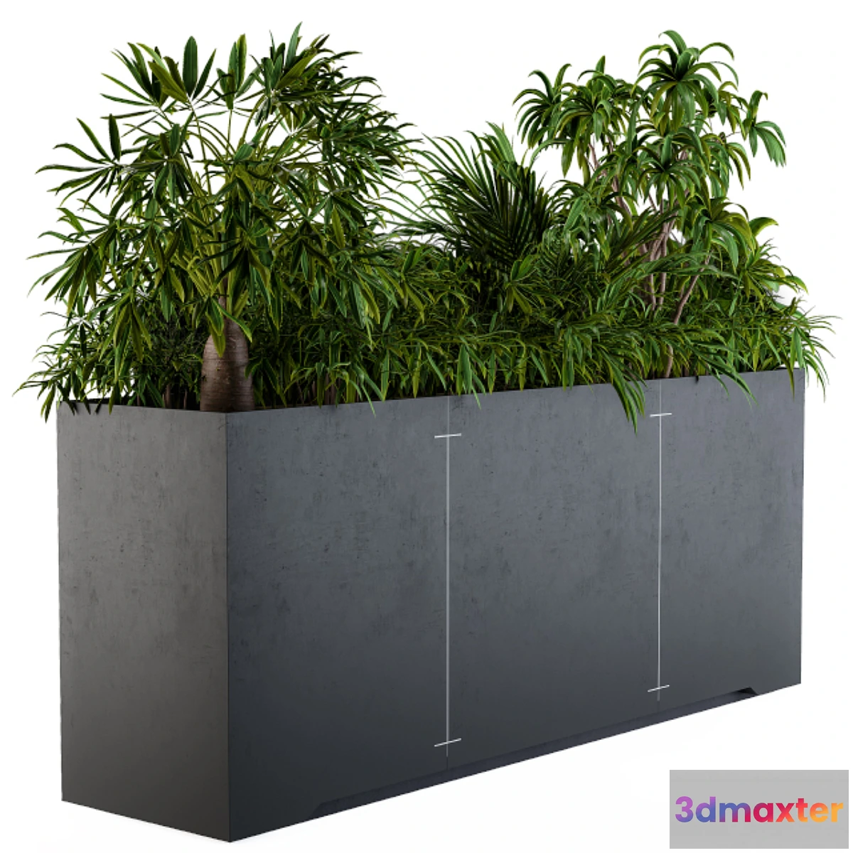618341 - Interior Plant Box