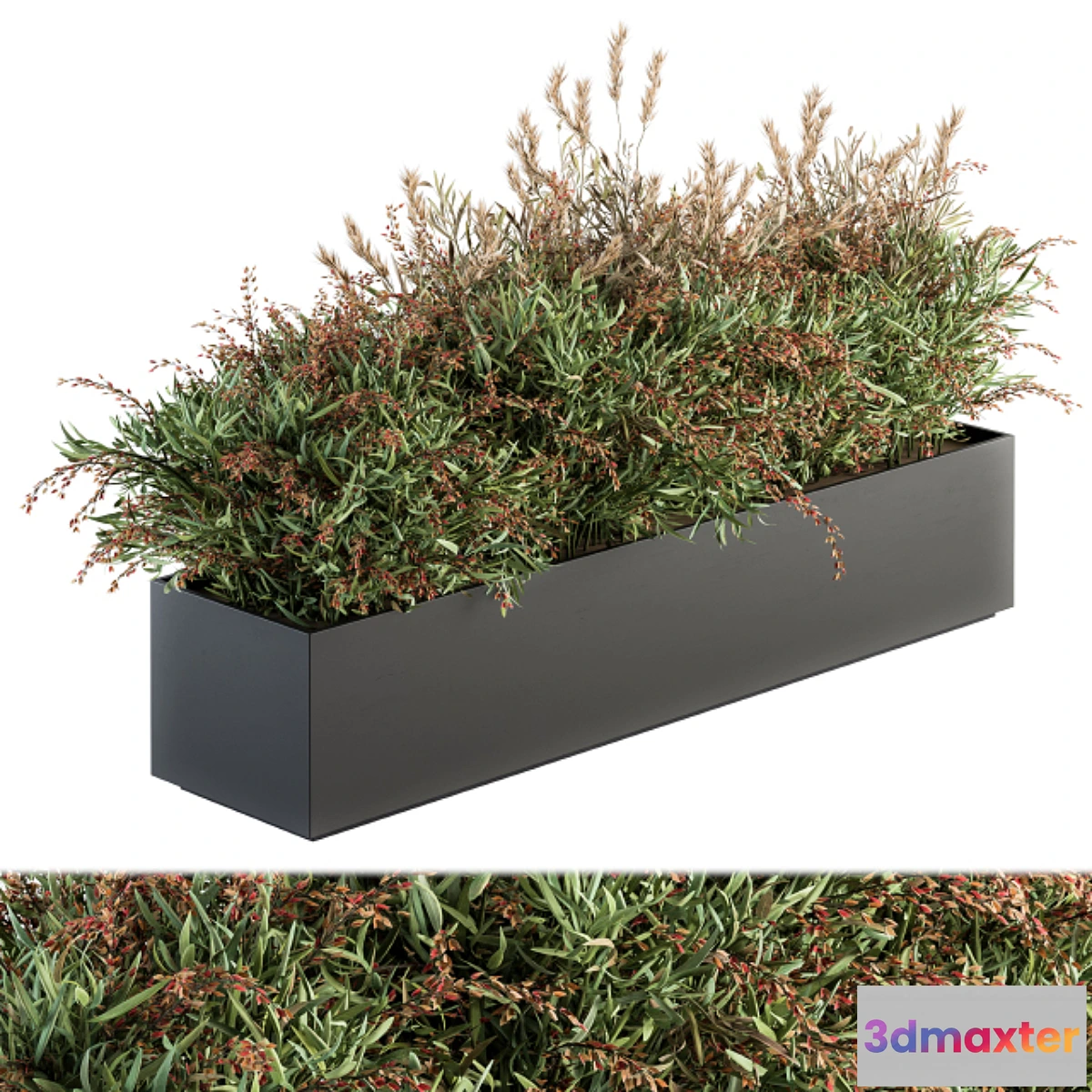 618429 - Outdoor Plant Set 166 - Plant Box Bush