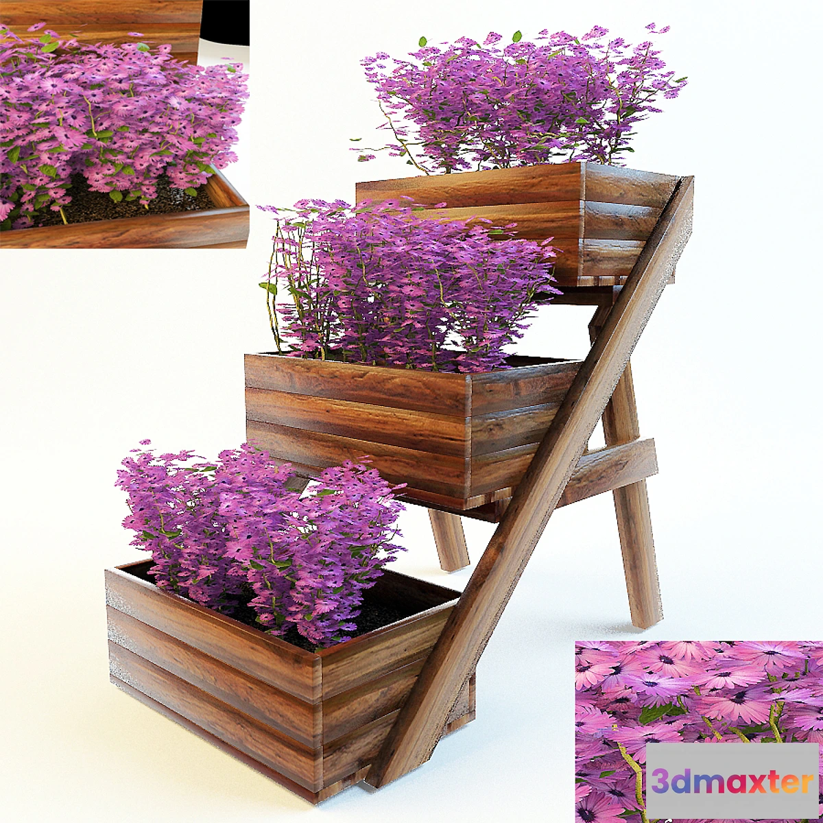 631829 - flower discounts