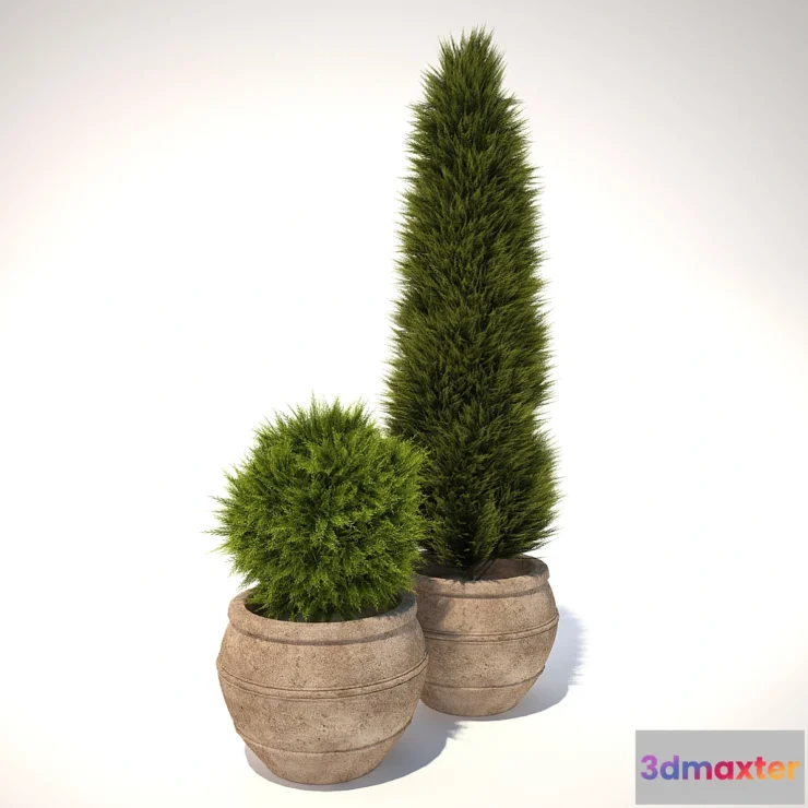 631879 - plant in a pot