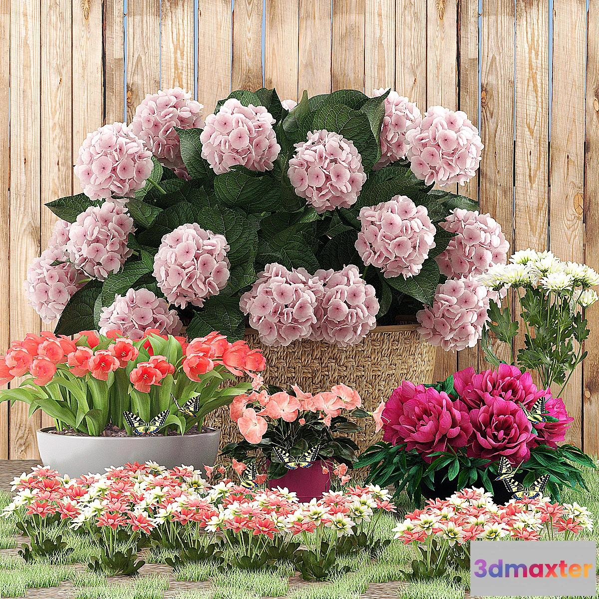 649543 - Flower beds