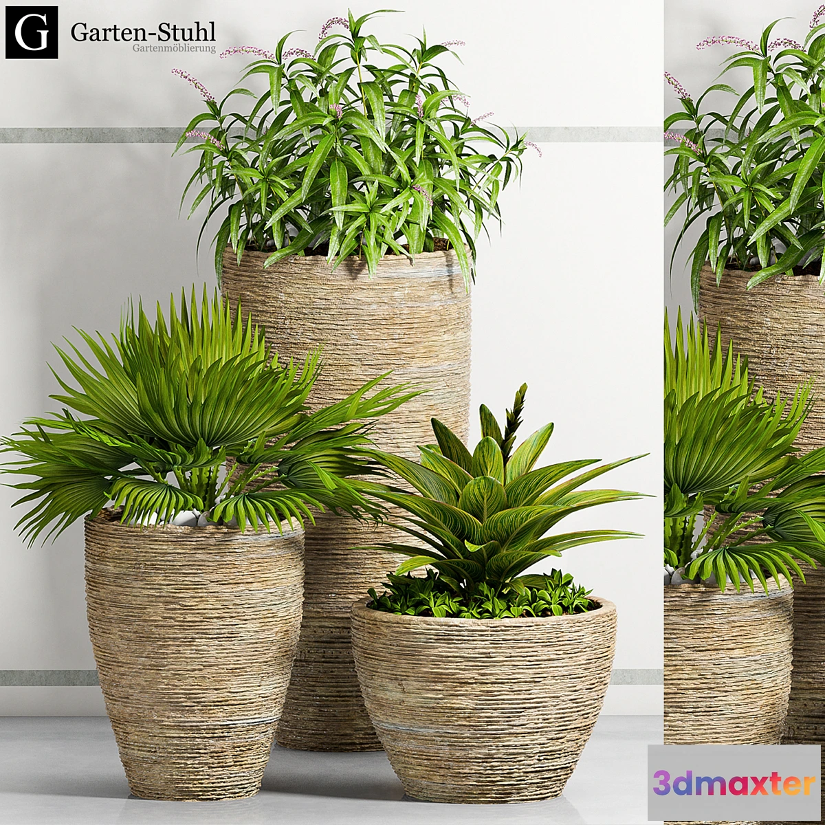 650049 - PLANT -37 - No.2