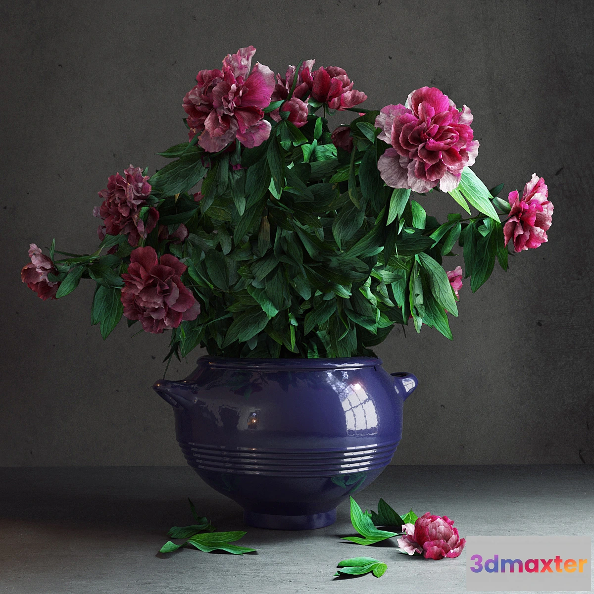 650189 - Peony Garden