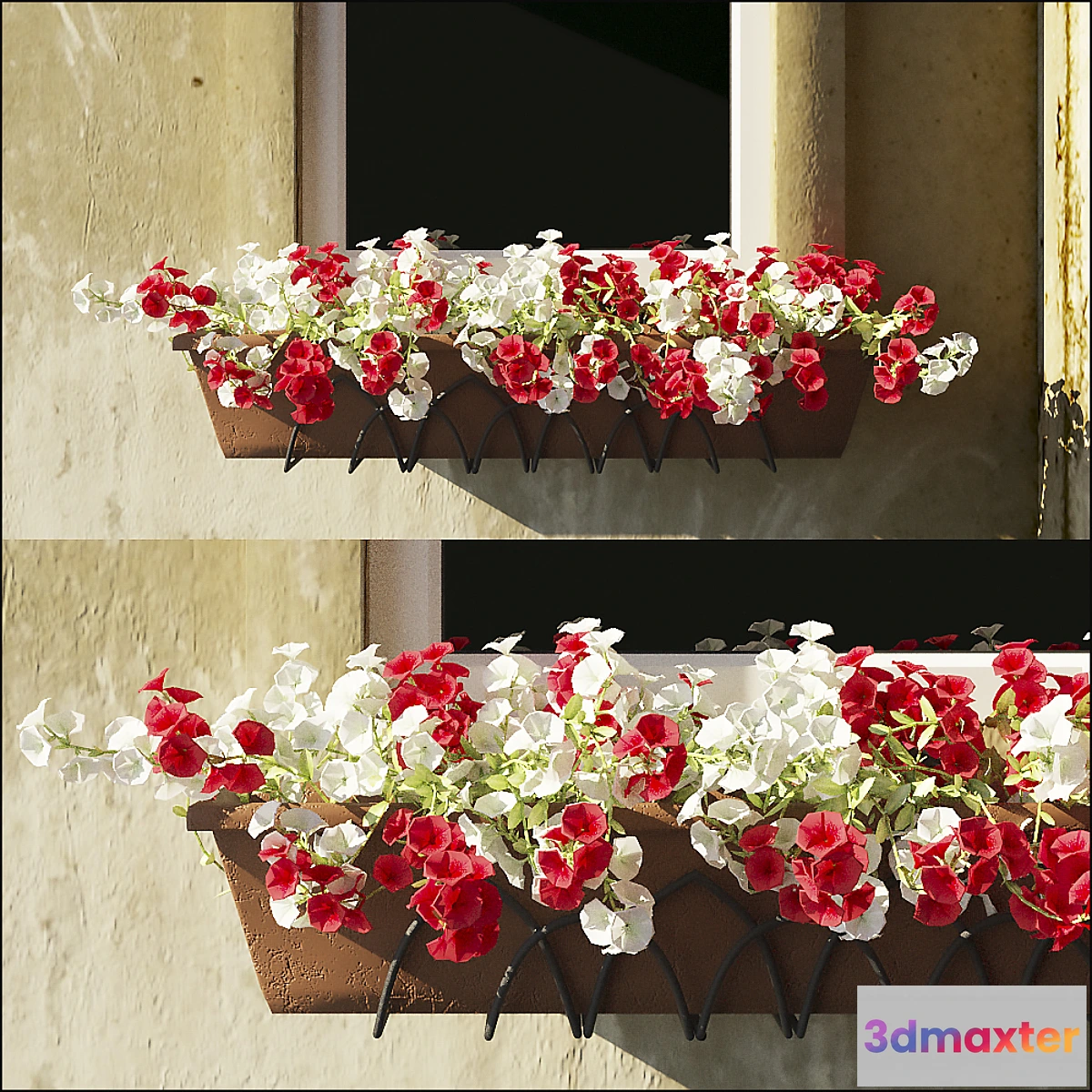 650215 - Queen leta.4