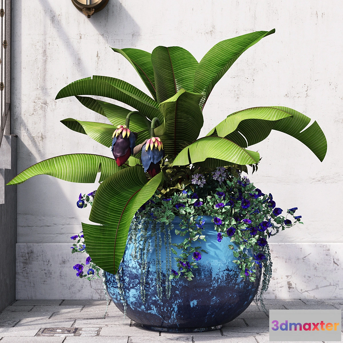 650225 - Tropical Symphony