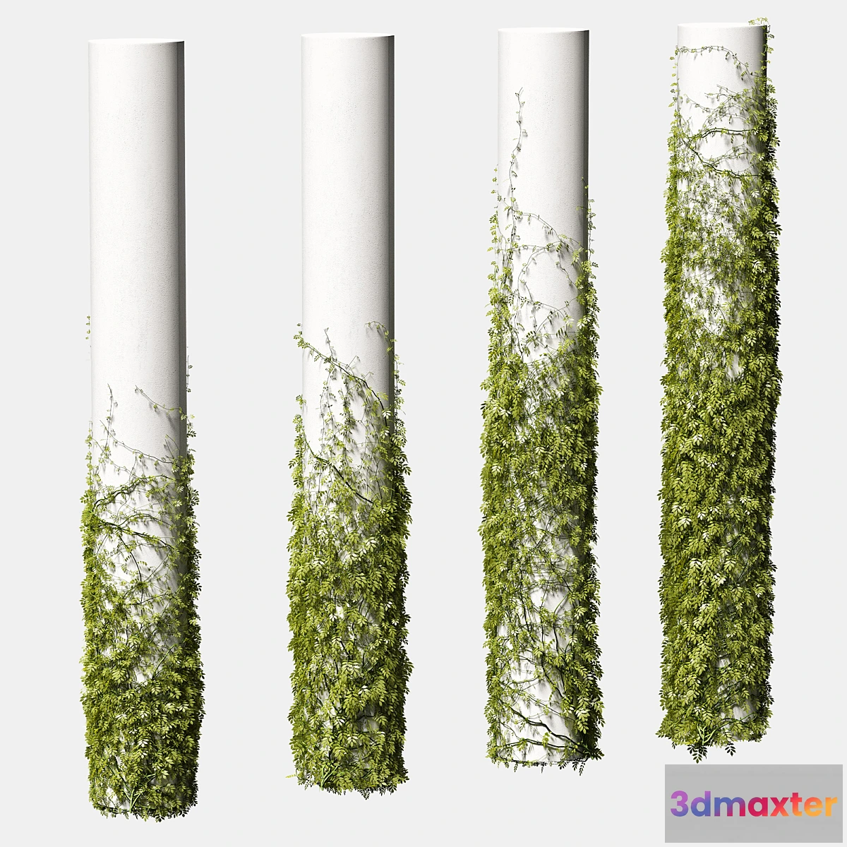 654621 - Leaves for round columns. 4 models