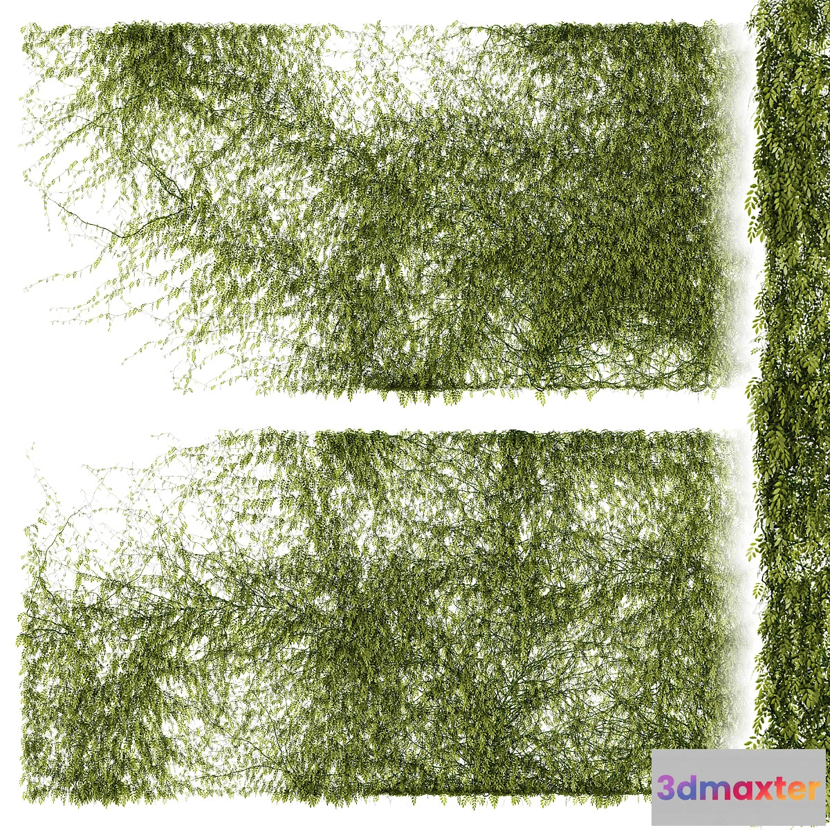 654627 - Leaves for walls v2