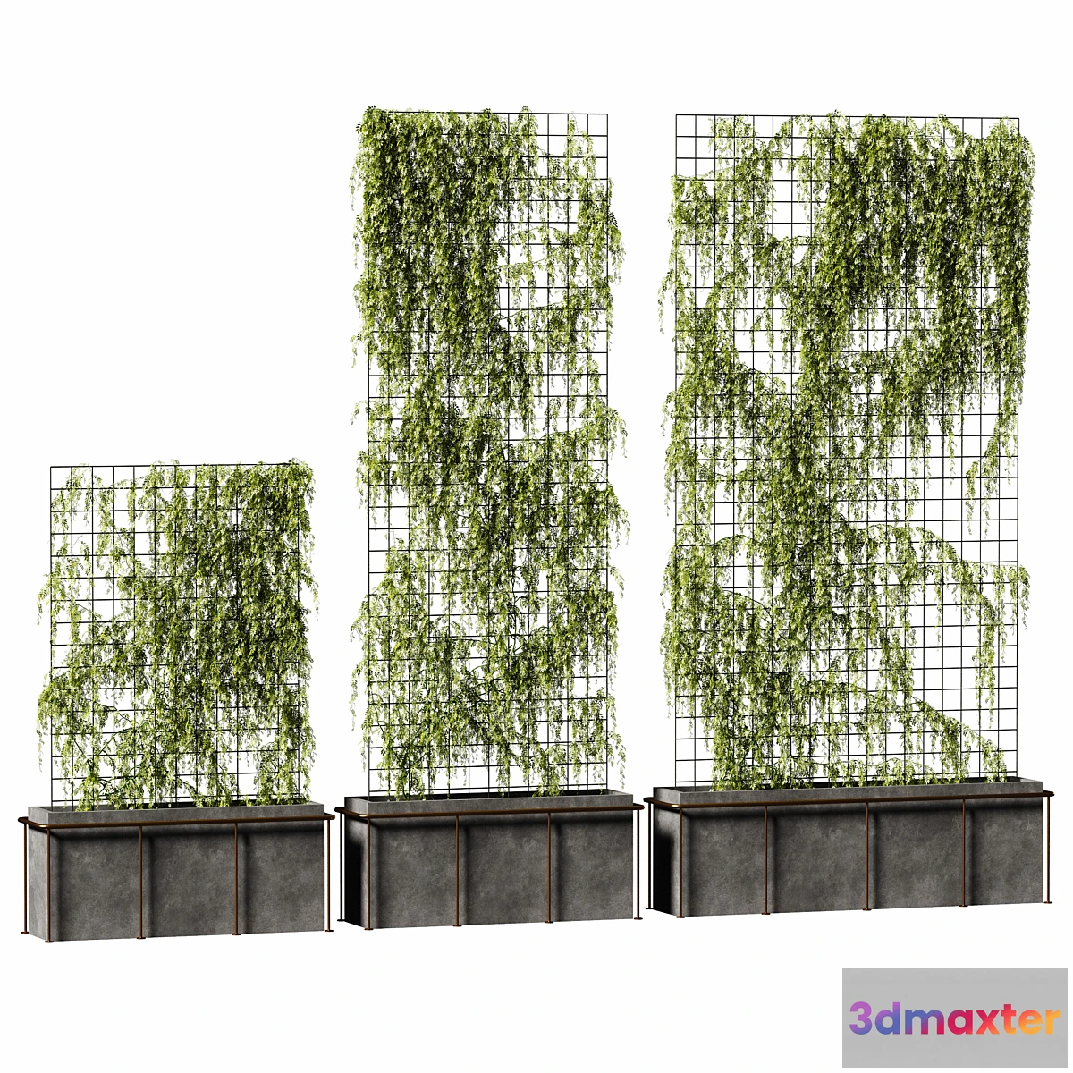 654685 - The plant on the grid. 3 models