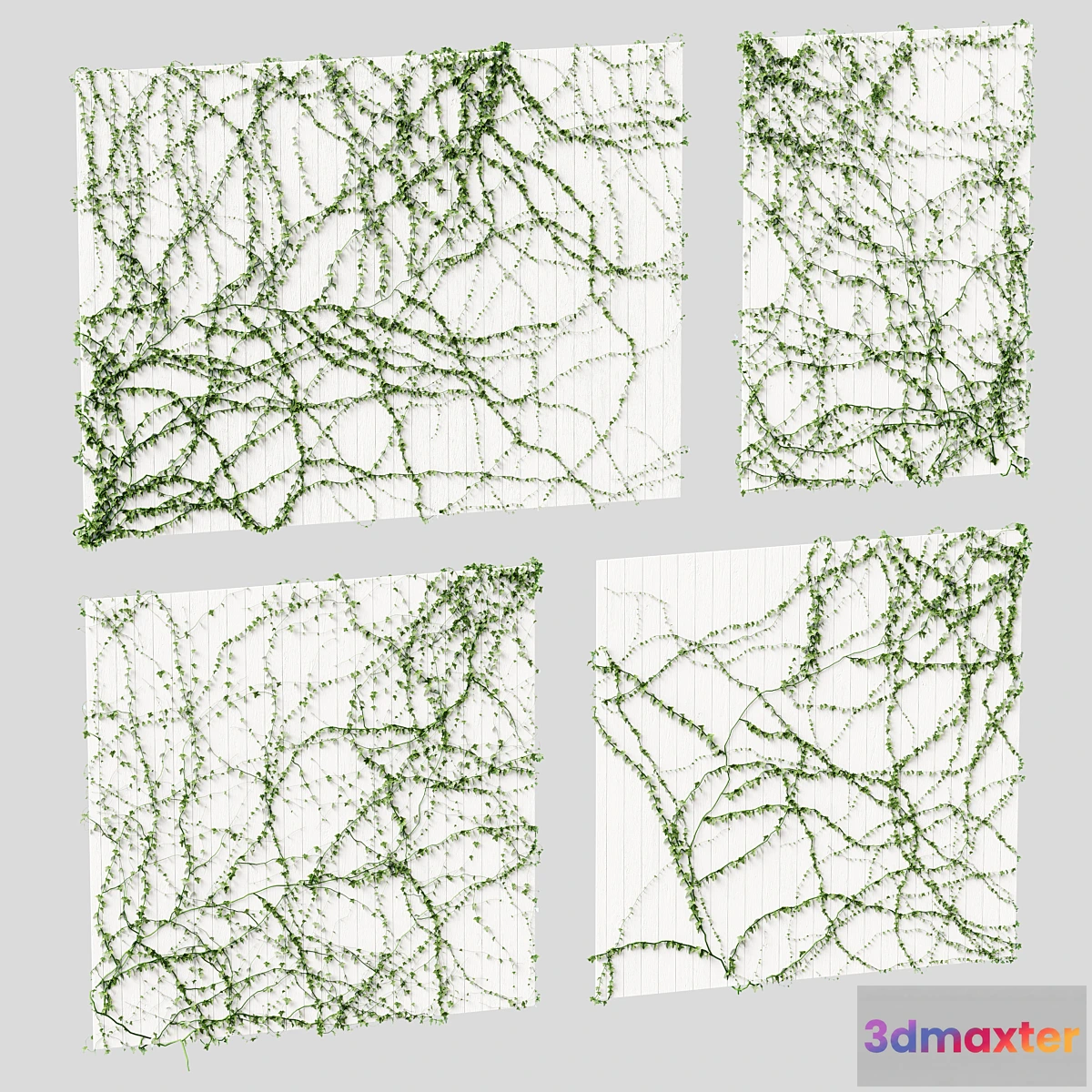 654689 - Ivy for the ceiling. 4 models