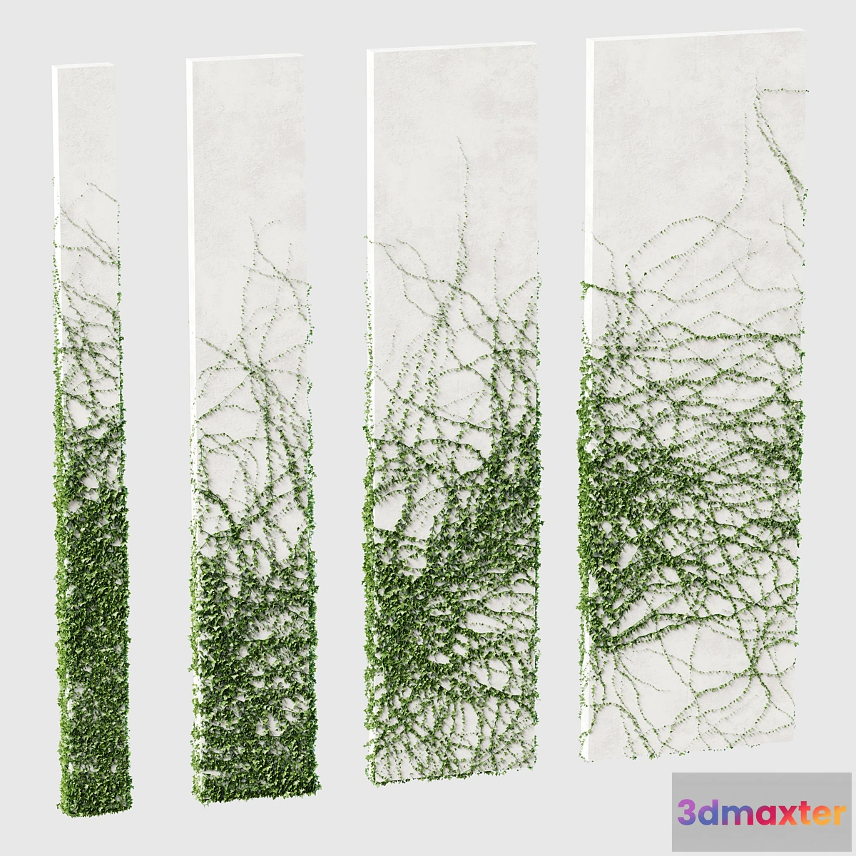 654693 - Ivy for rectangular columns. 4 models