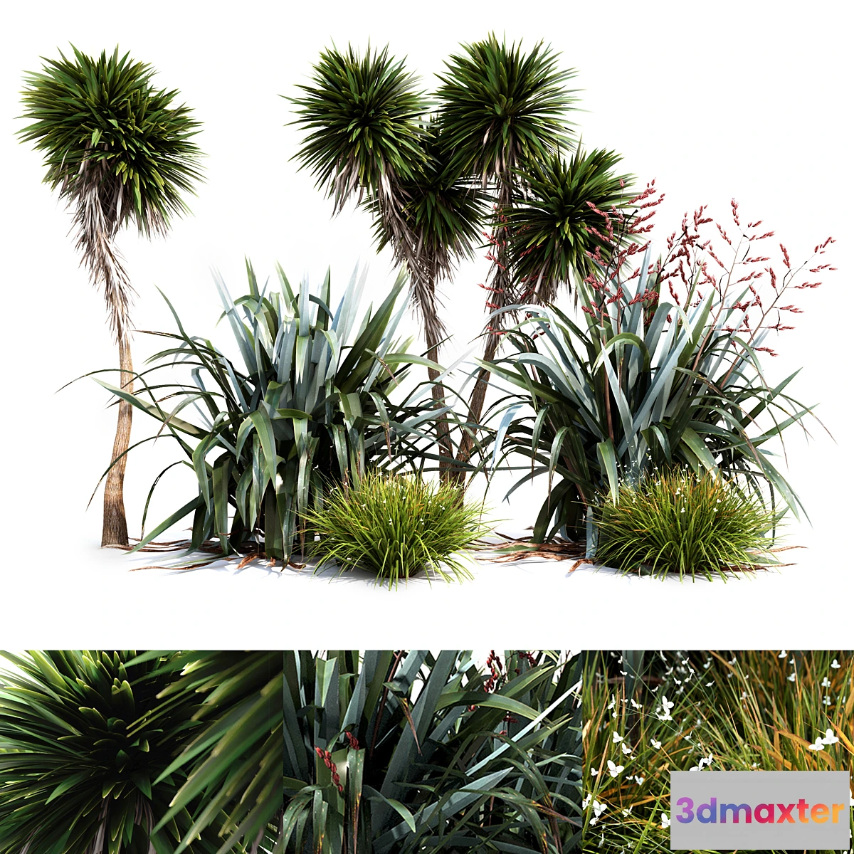 660261 - Oceania plant set