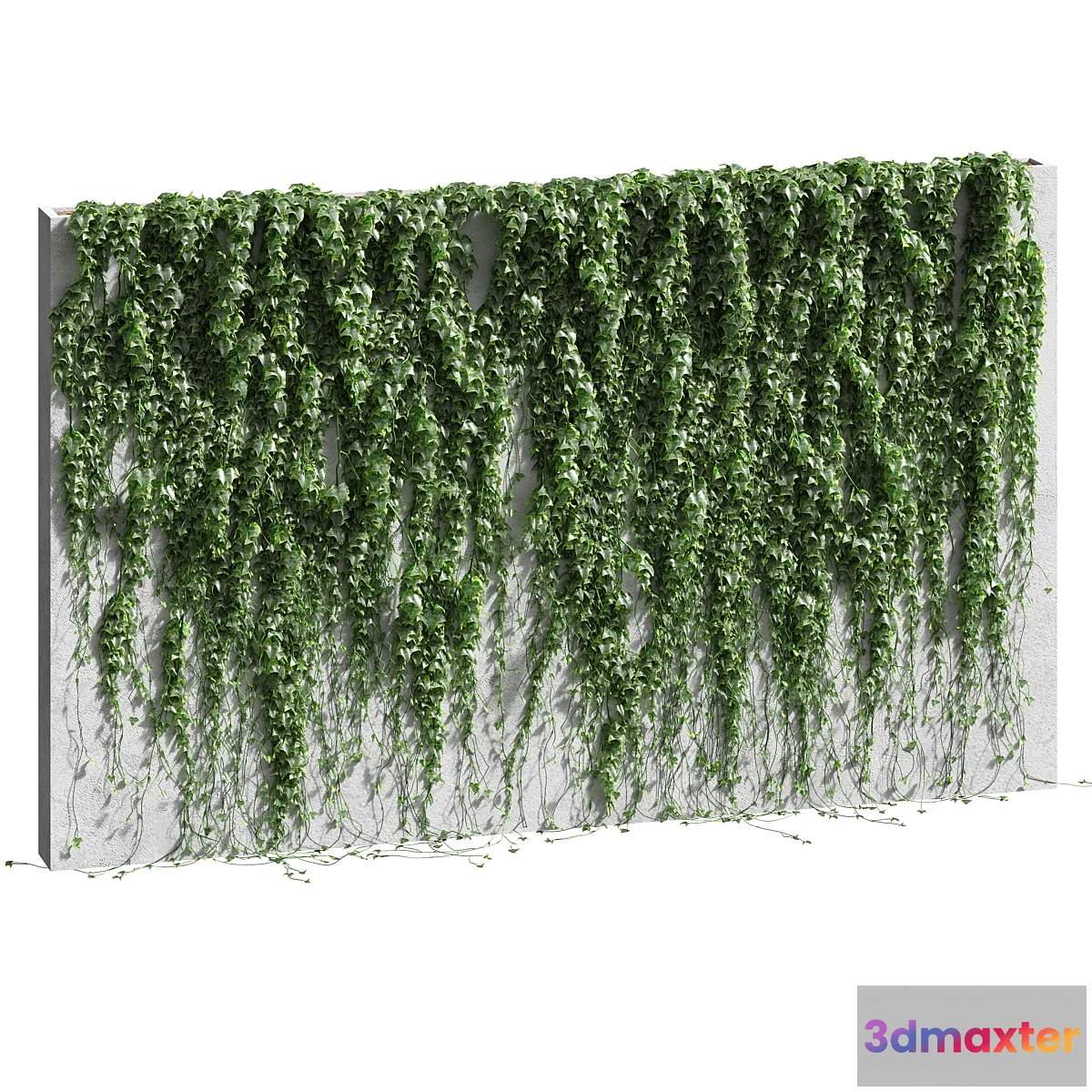 660315 - Ivy for the fence v2