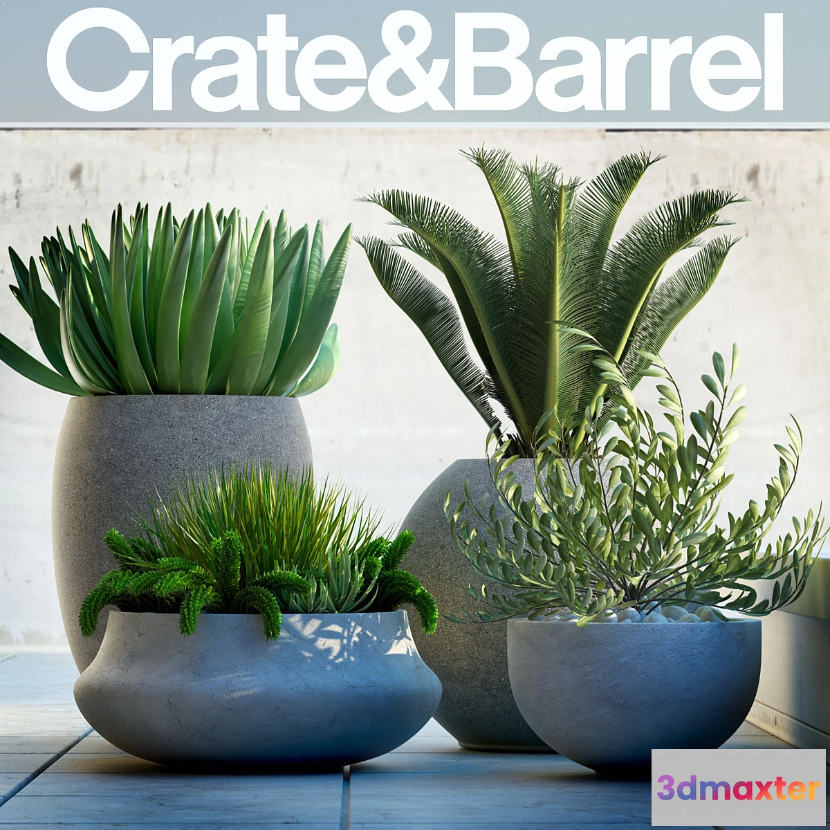 672159 - PLANTS 78 - No.2