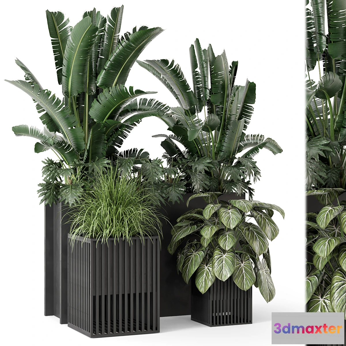 675897 - Outdoor Plants Bush in Metal Pot - Set 1074