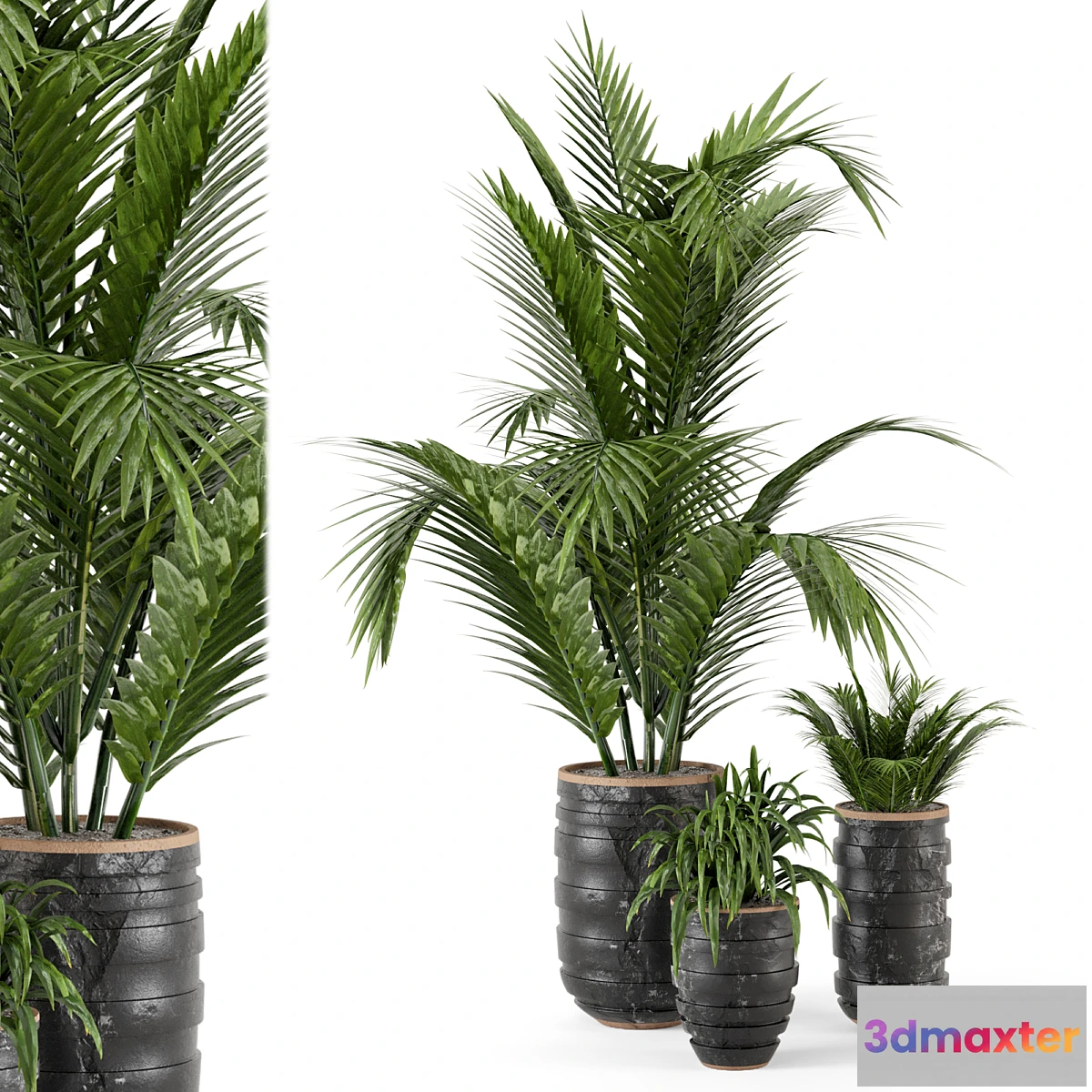 675901 - Outdoor Plants bush and Tree in rusty Concrete Pot - Set 148