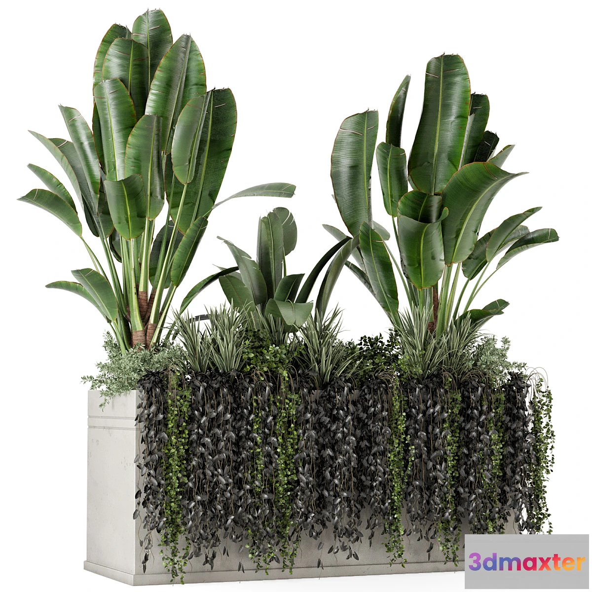 675903 - Outdoor Plants in Concrete Pot-Set 519