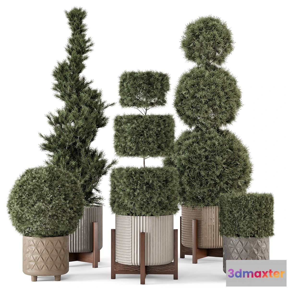 675907 - Outdoor Pine Plants in Concrete Pot - Set 522