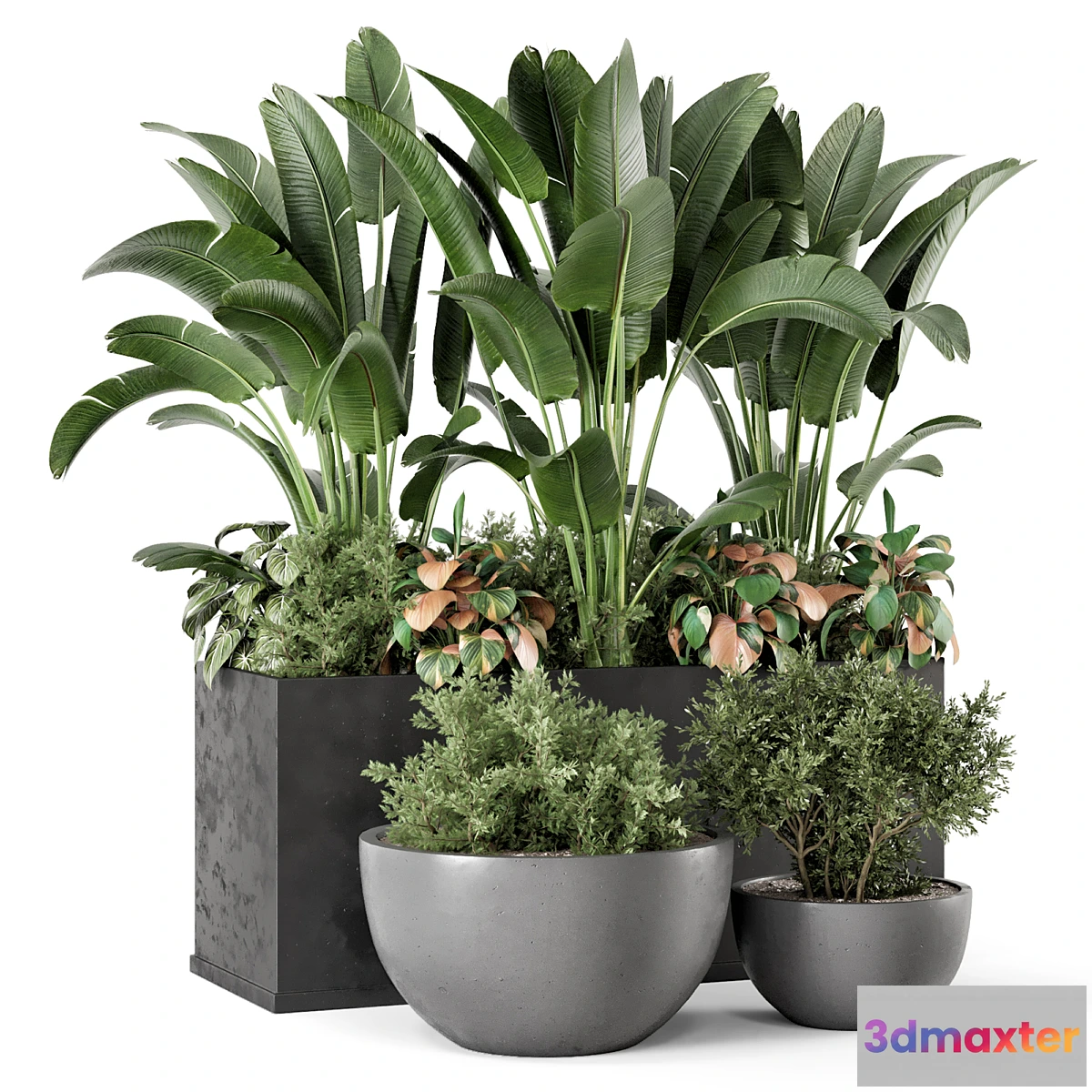 675931 - Outdoor Garden set Bush and Tree - Garden Set 1144