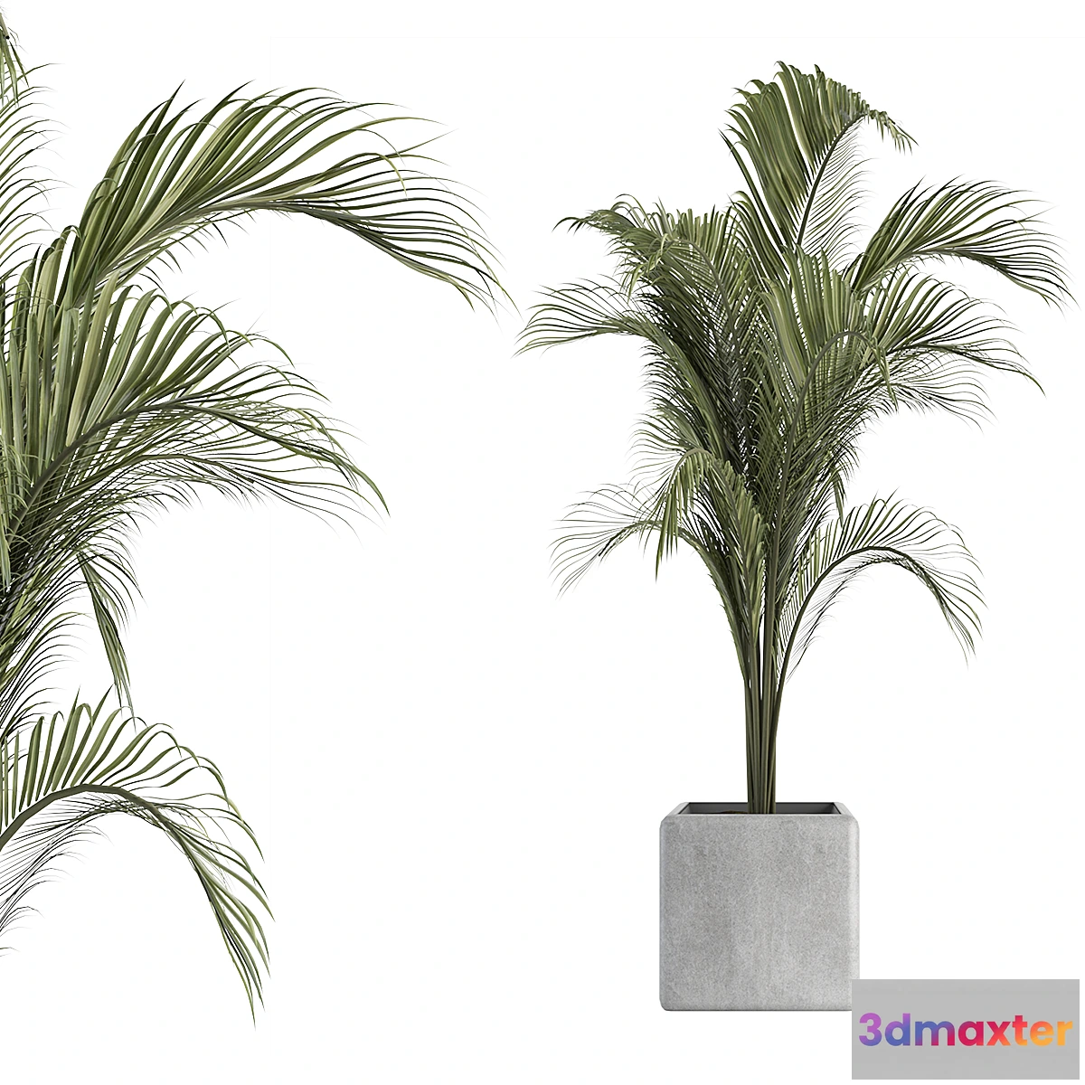 688308 - OutDoor Plant No 2 - No.2