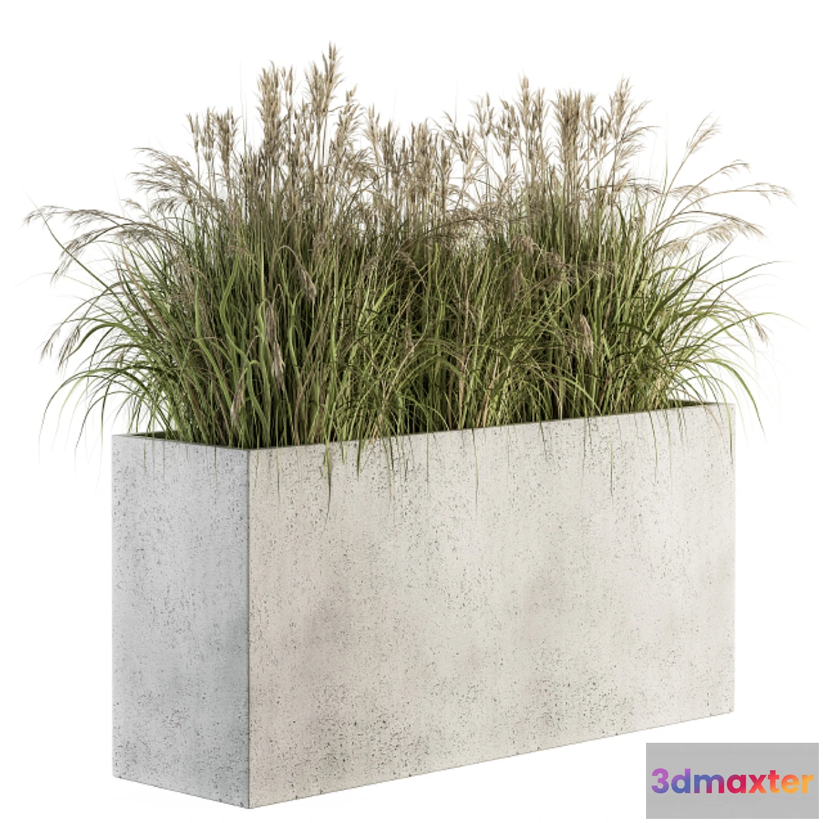 688328 - Outdoor Plant Set 185 - Plant in Pot