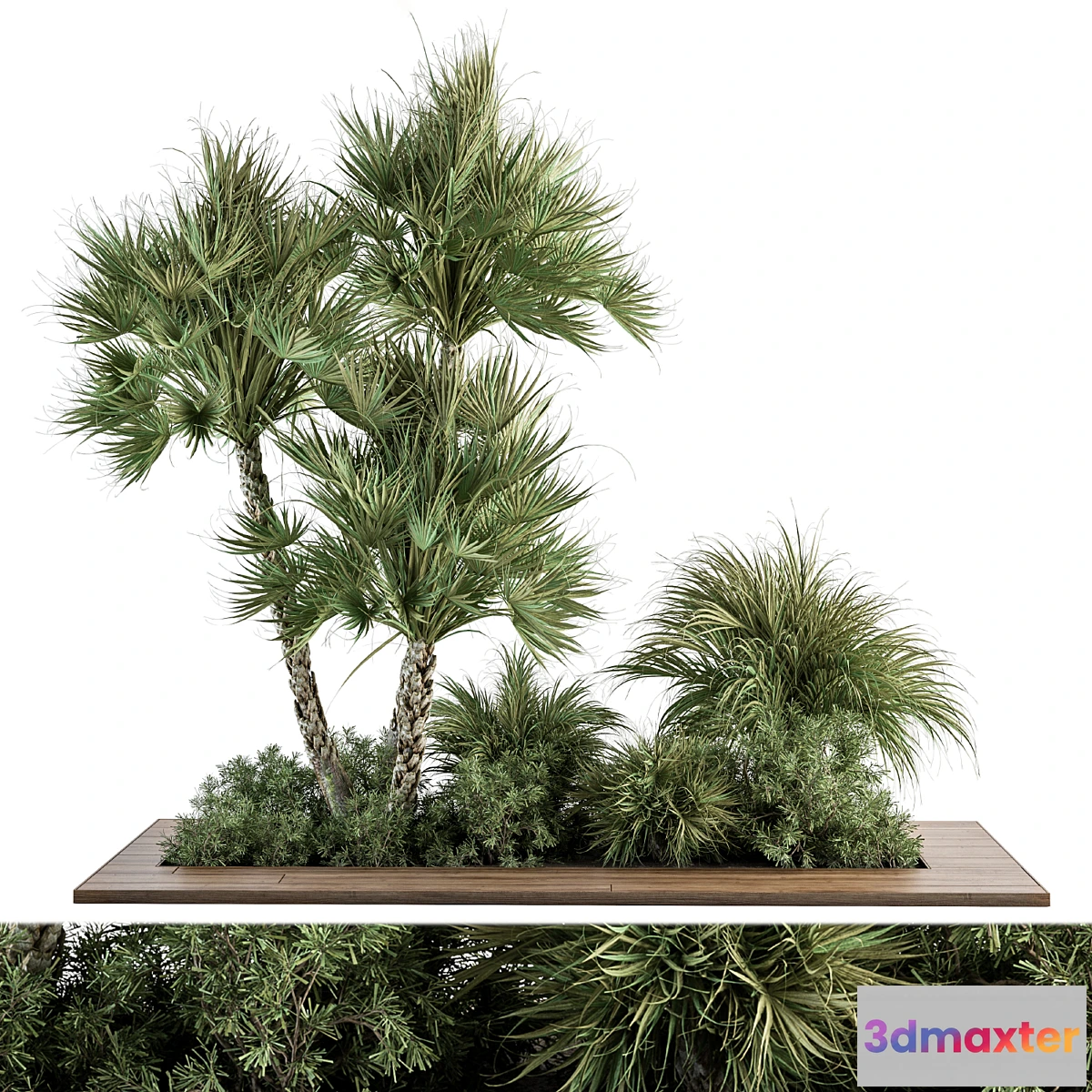 688344 - Garden Set Tropical Plants - Outdoor Plants Set 369