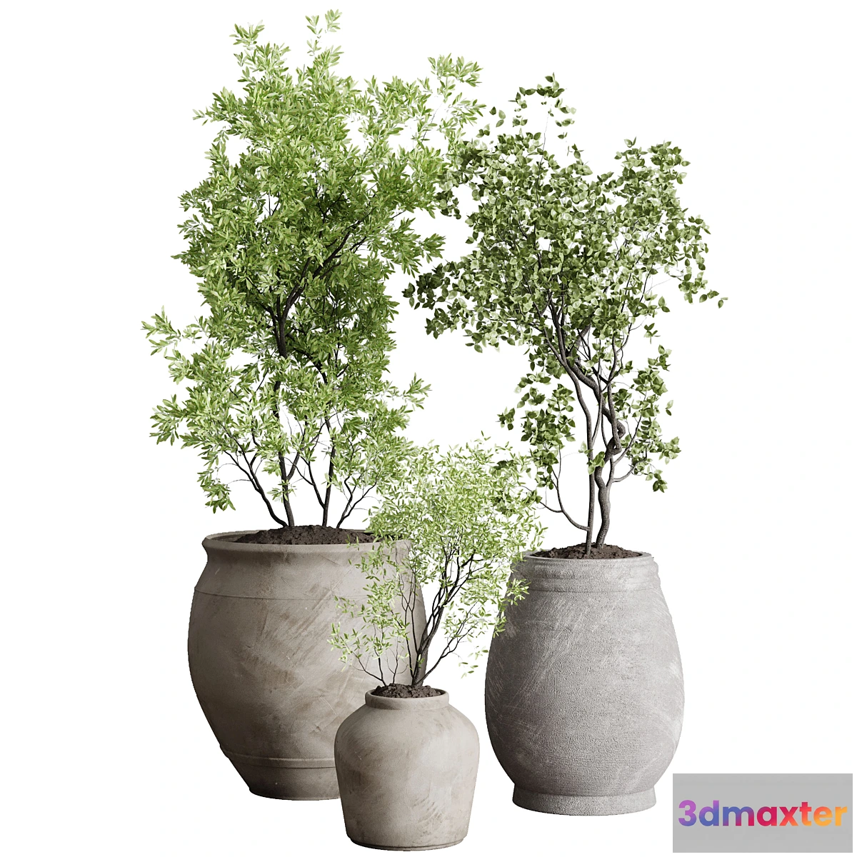 688374 - Tree in an Old Earthenware Vase Outdoor Collection 104