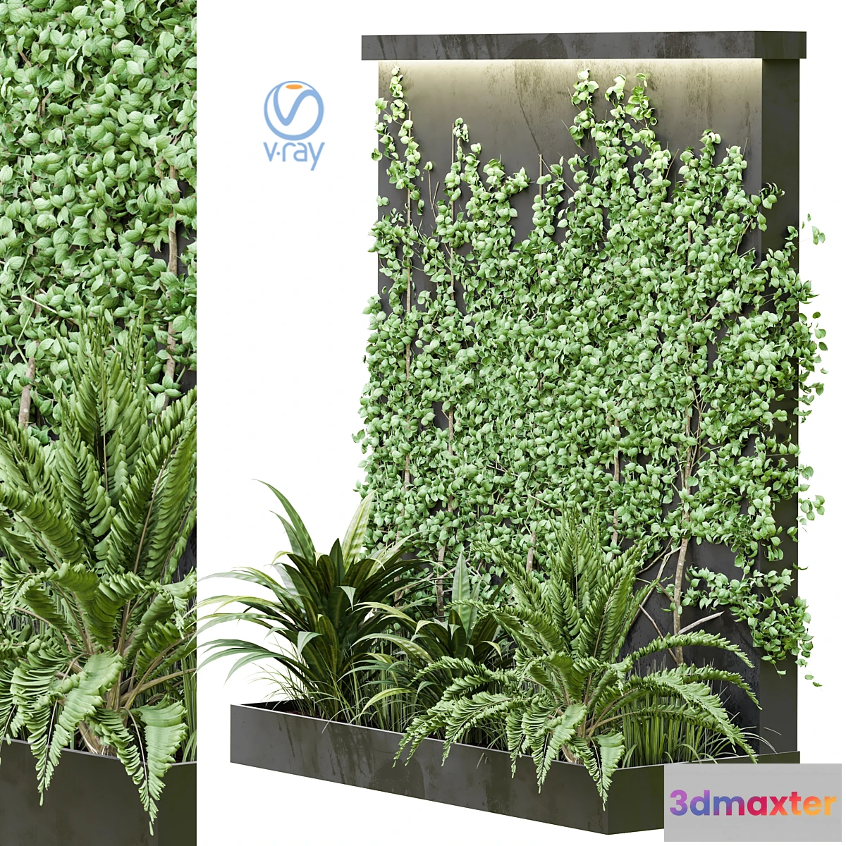 688402 - Outdoor Plant Vol38