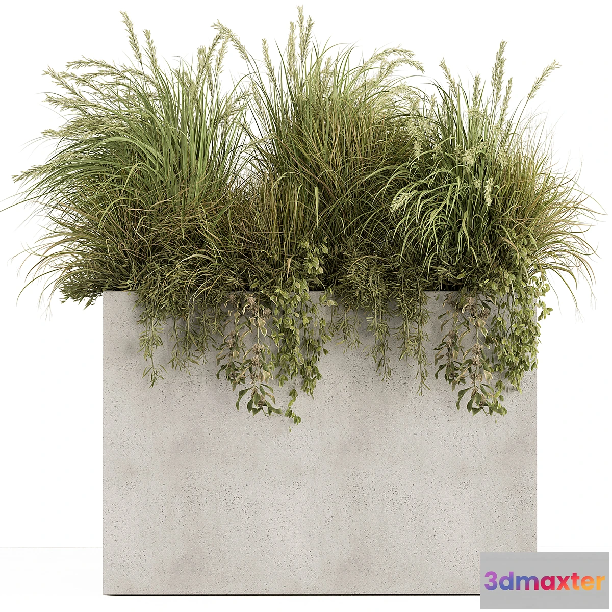688406 - Plant Box - Outdoor Plants 480