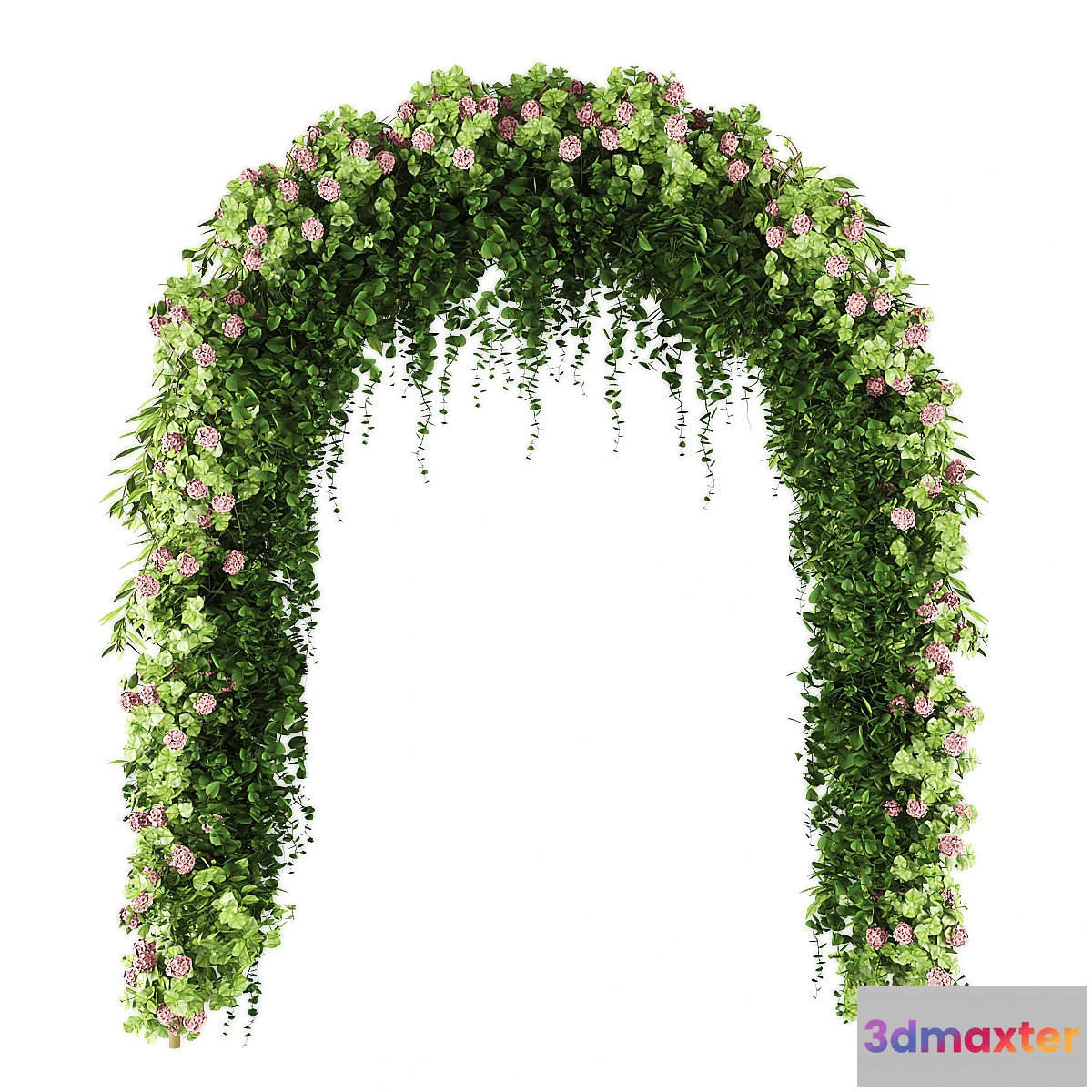 688410 - wedding arch 02