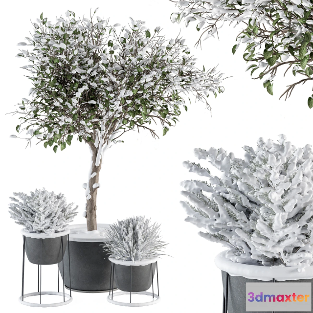688438 - Outdoor Plants in Pot Snowy - Set 346