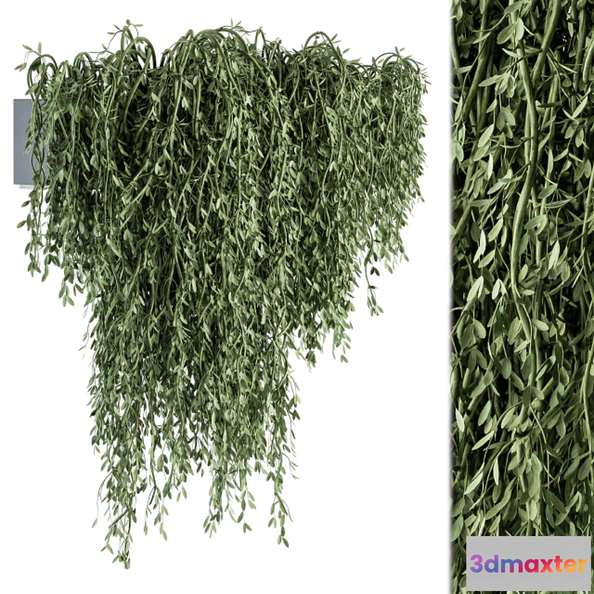 688440 - Outdoor Hanging Plants - Set 294