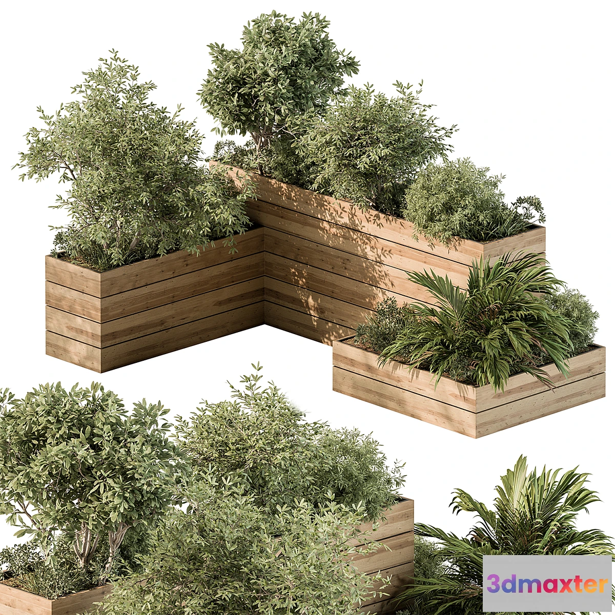 688452 - Plant Box - Outdoor Plants 487