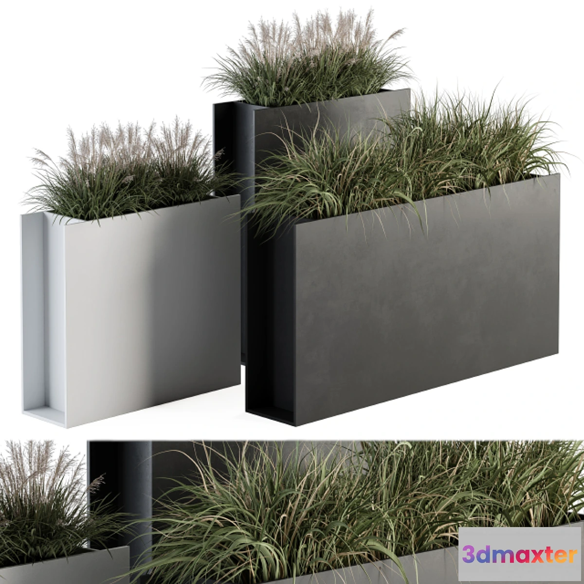 688454 - Outdoor Plant Set 288 - Grass in Plant Box