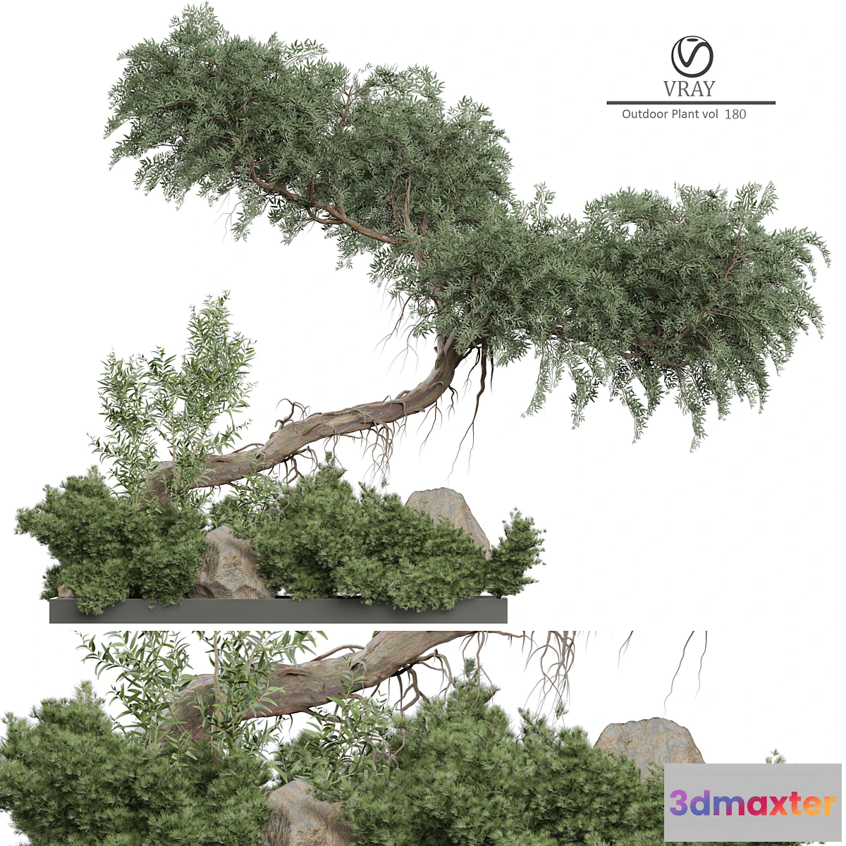 688456 - Outdoor Plant 180