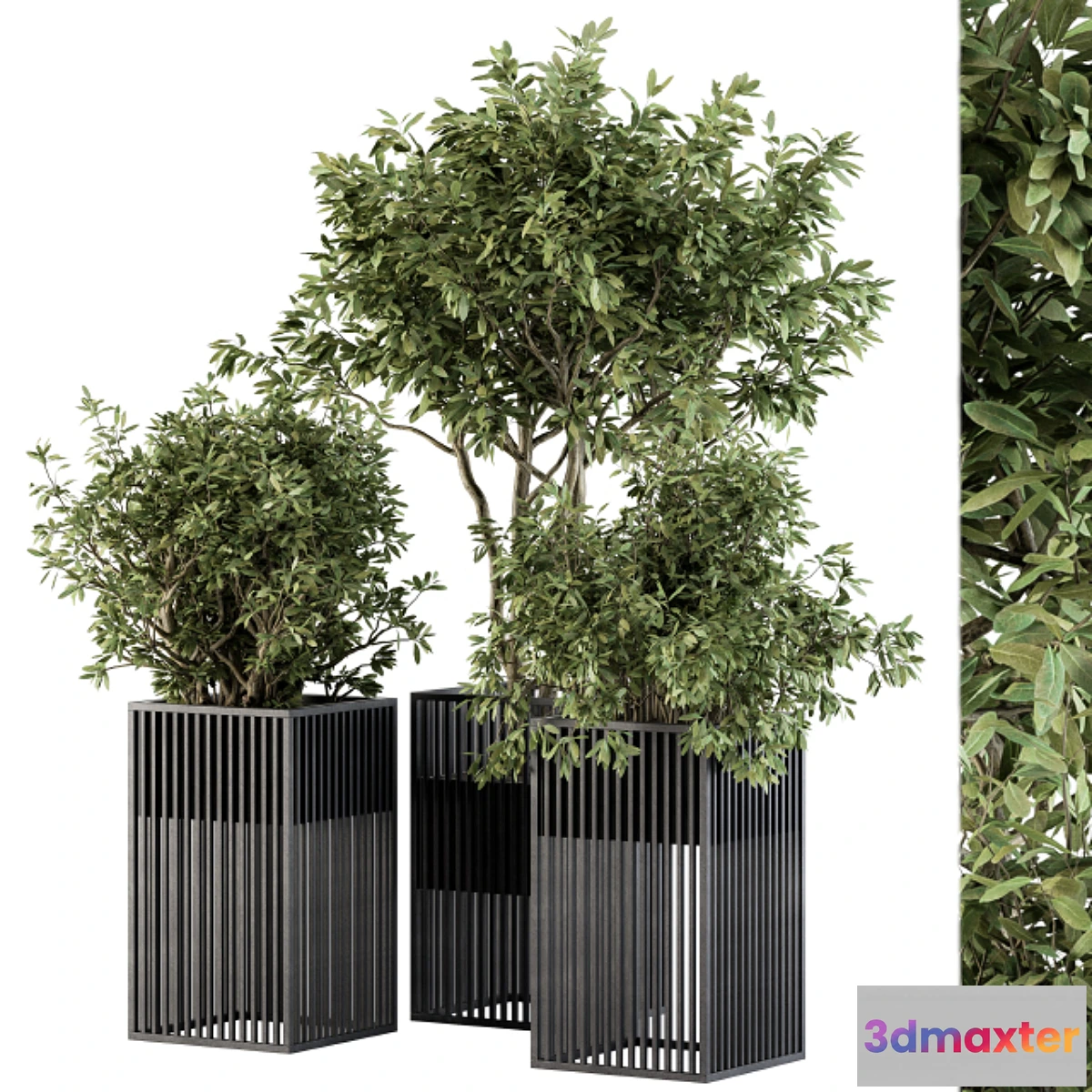 688502 - Outdoor Plant Set 276 - Plant Set in Metal Pot