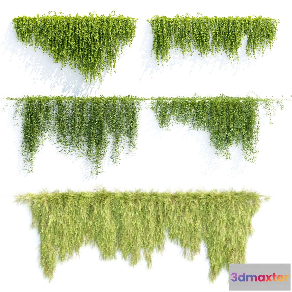 688508 - Creeper plants for wall collection vol 144