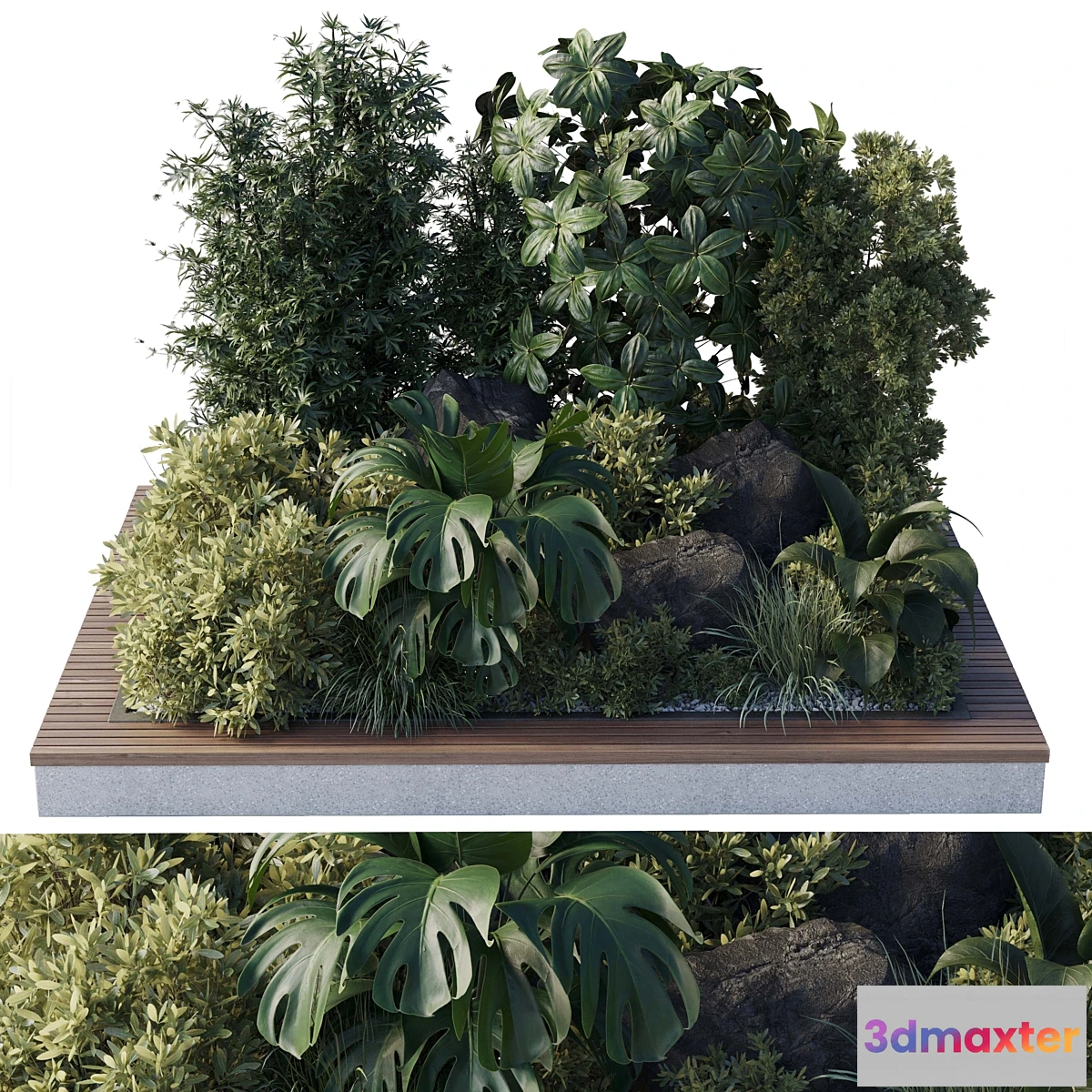 688518 - Collection outdoor indoor 101 pot plant