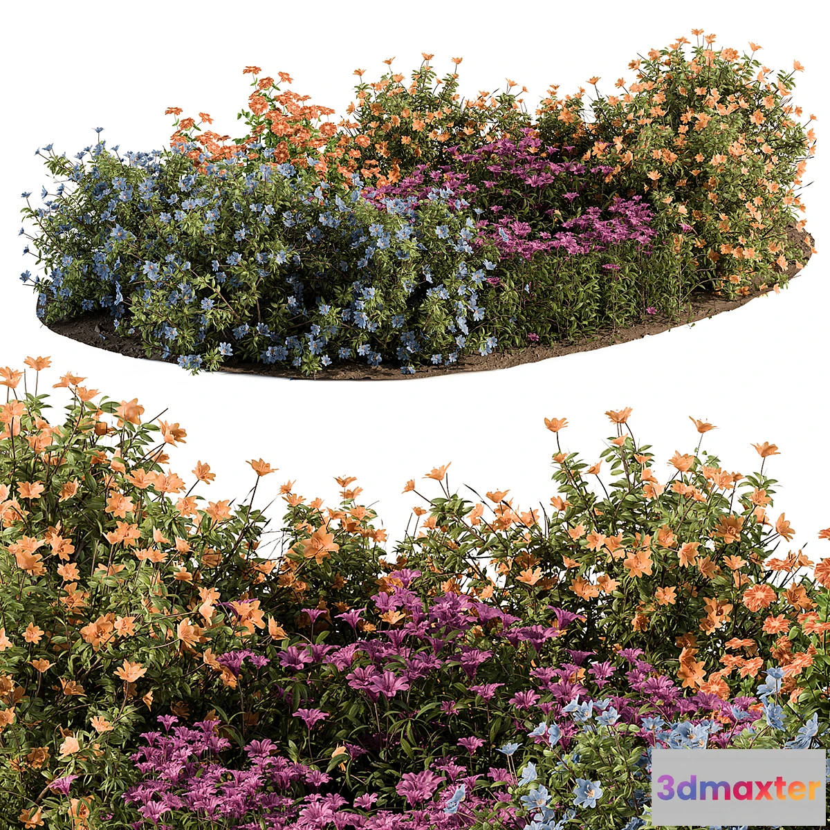 688526 - Garden Set colorful Flower Bush - Outdoor Plants Set 424