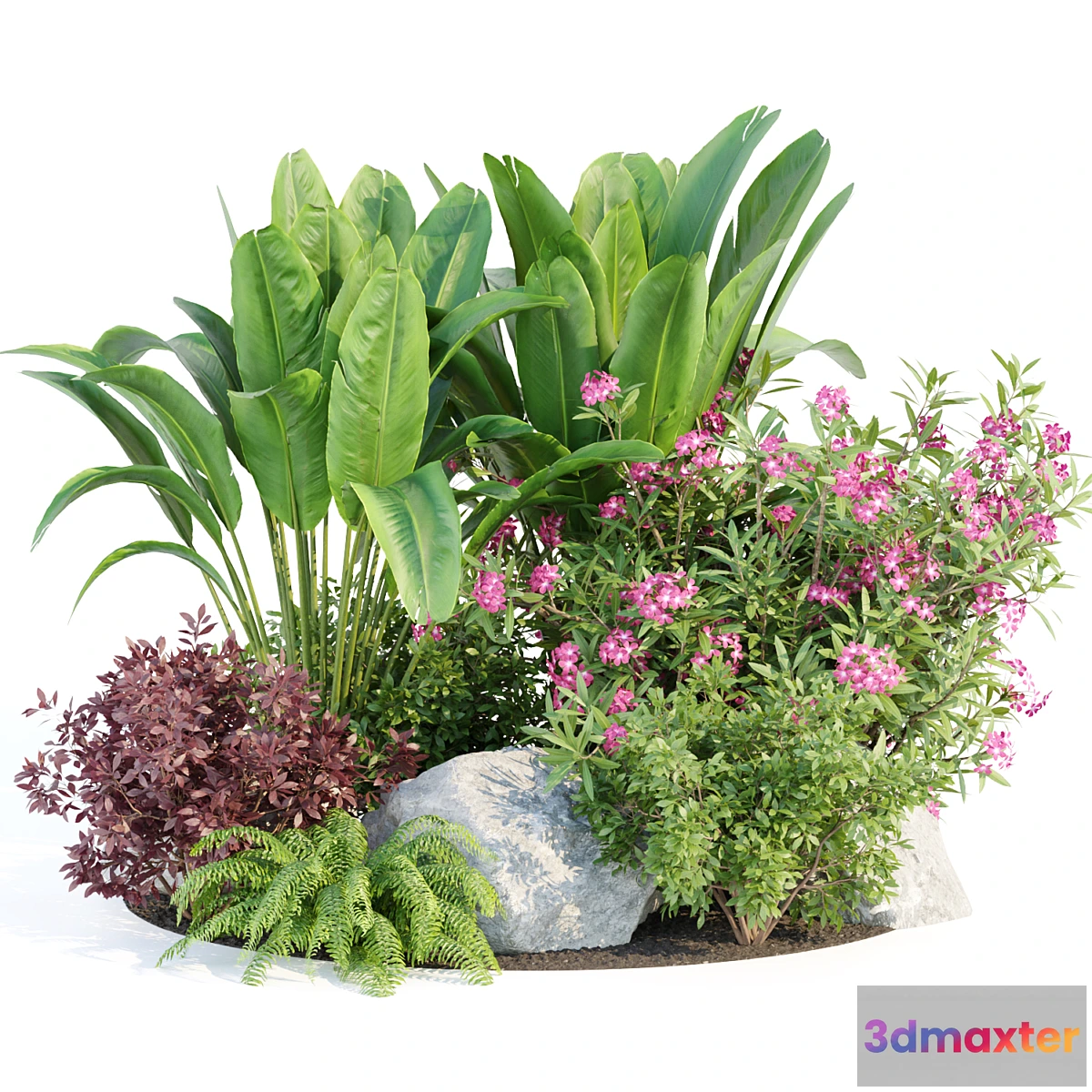 688544 - Outdoor Garden Plants Collection vol 136