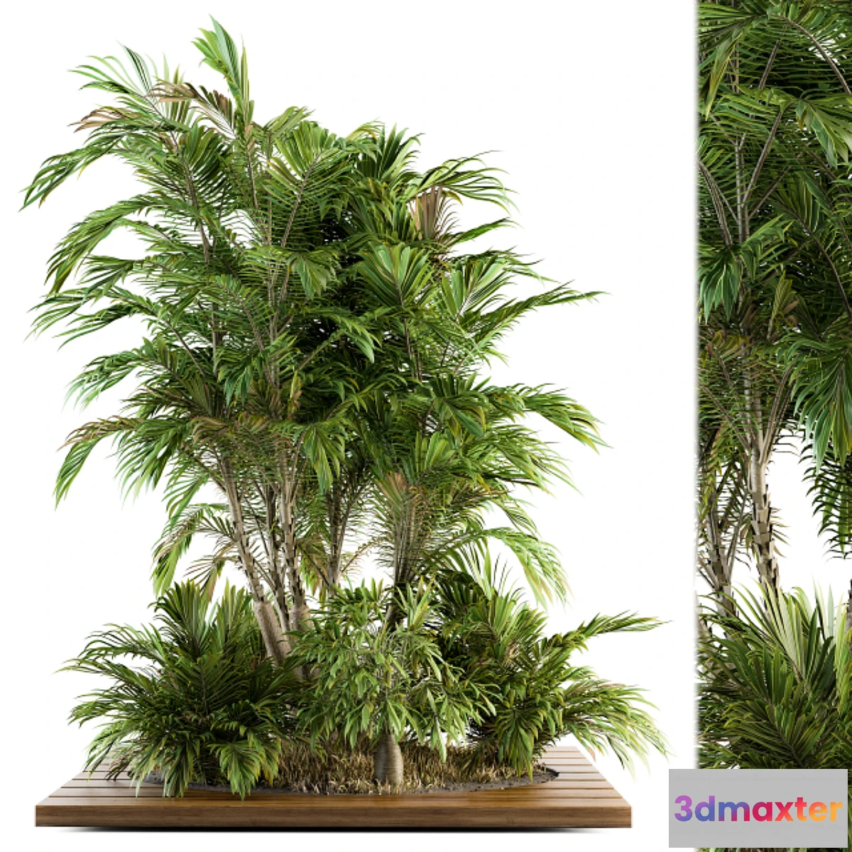 714534 - Garden set Tropical bush and Tree - Garden Set 05 - No.2