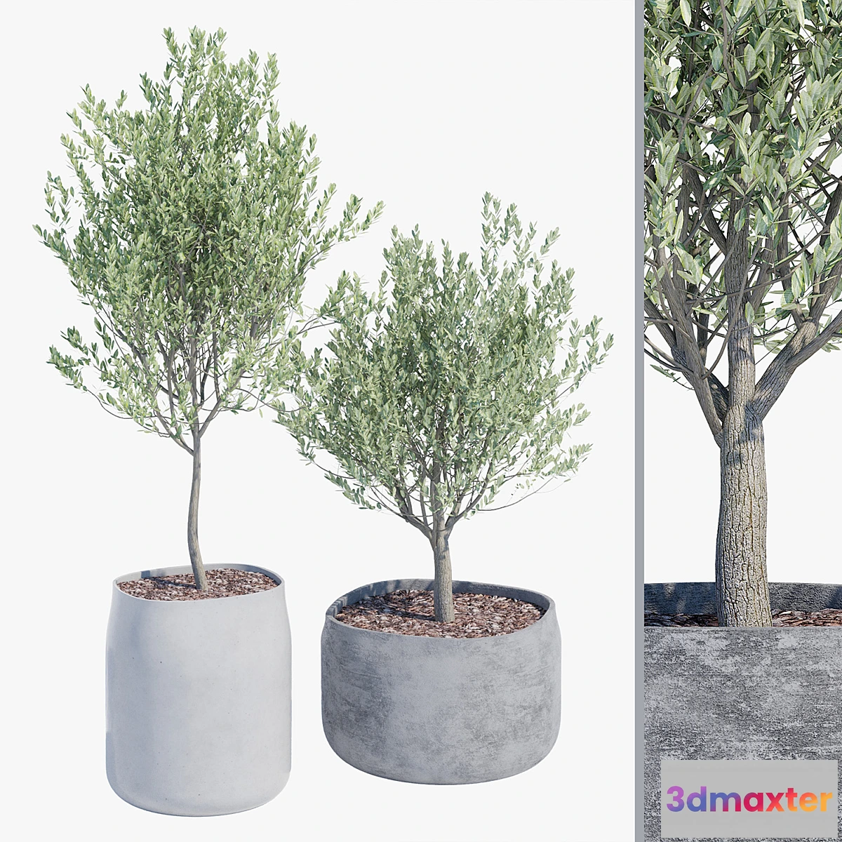 714536 - Gargantua one - No.2