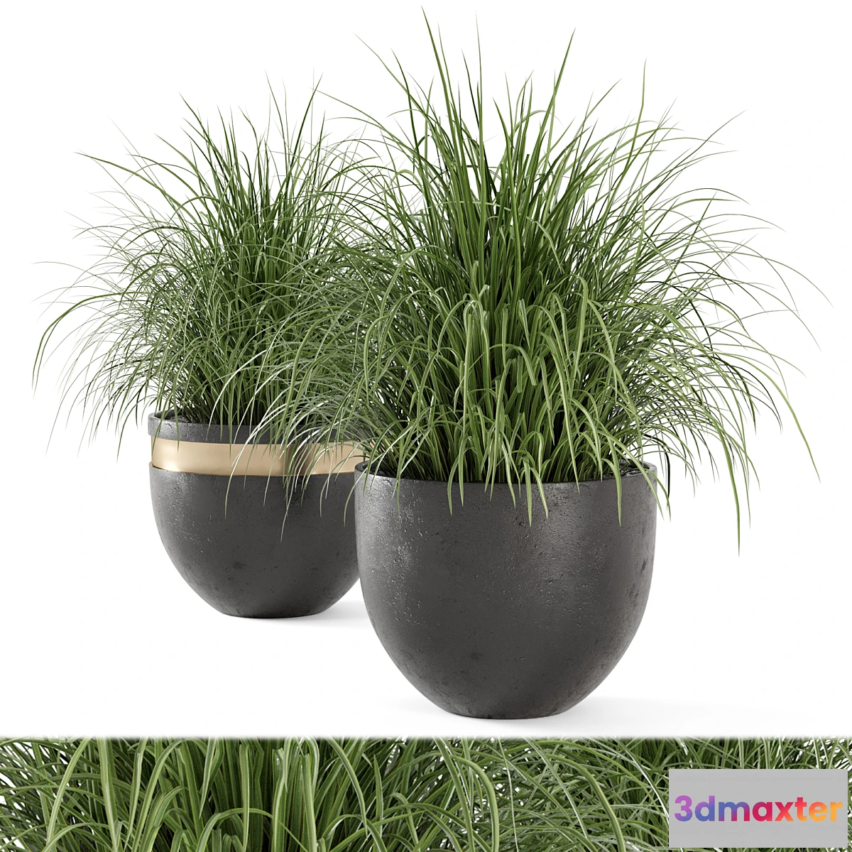 714538 - Outdoor Plants Bush in rusty Concrete Pot - Set 186 - No.2