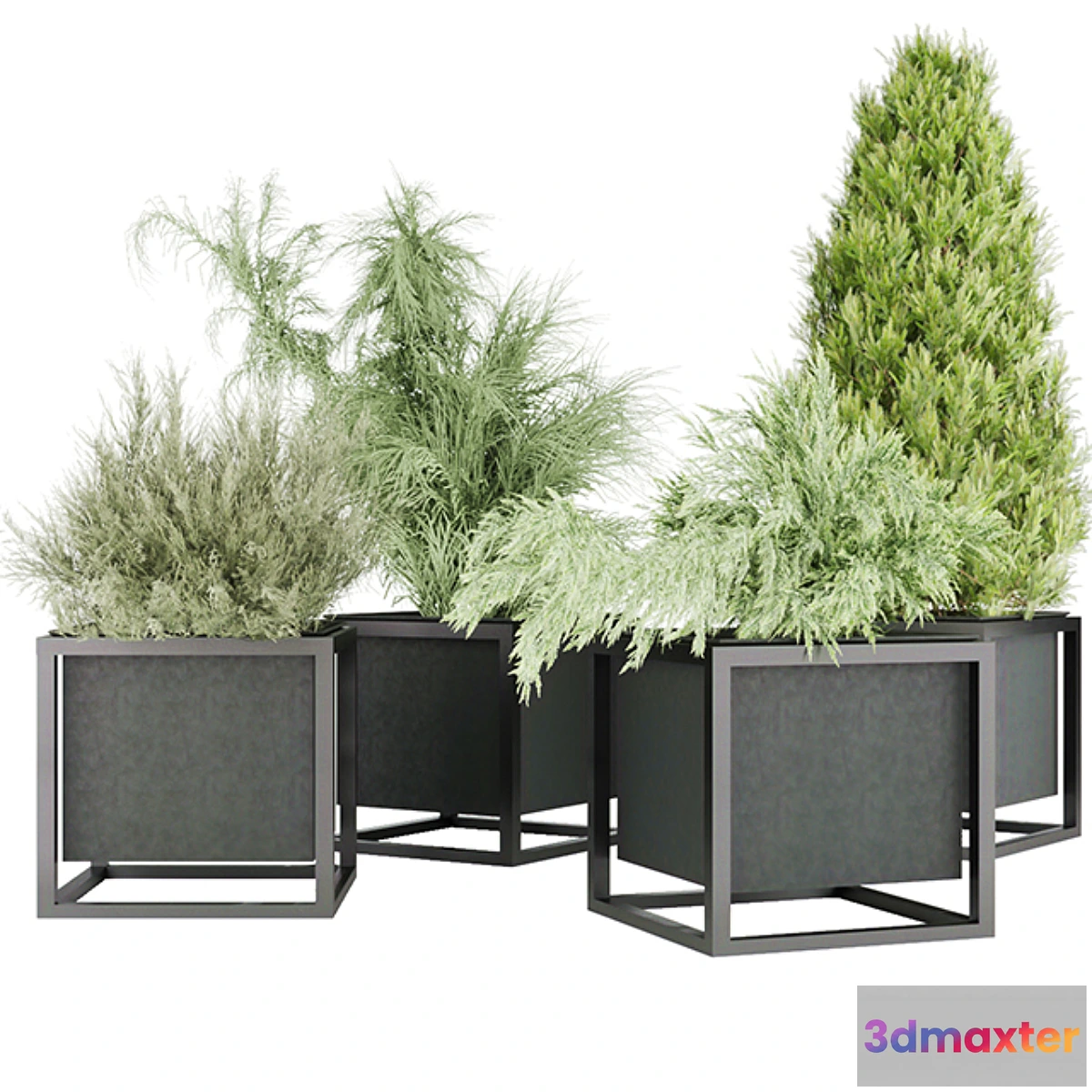 714544 - Collection plant vol 14 - No.2