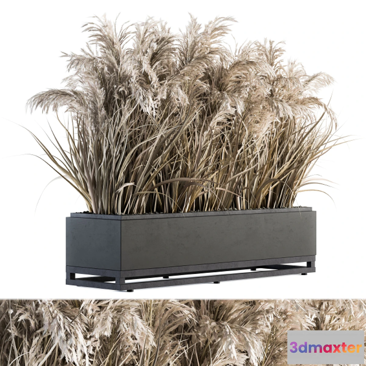 714546 - indoor Plant Set 131 - Dried Plant box - No.2