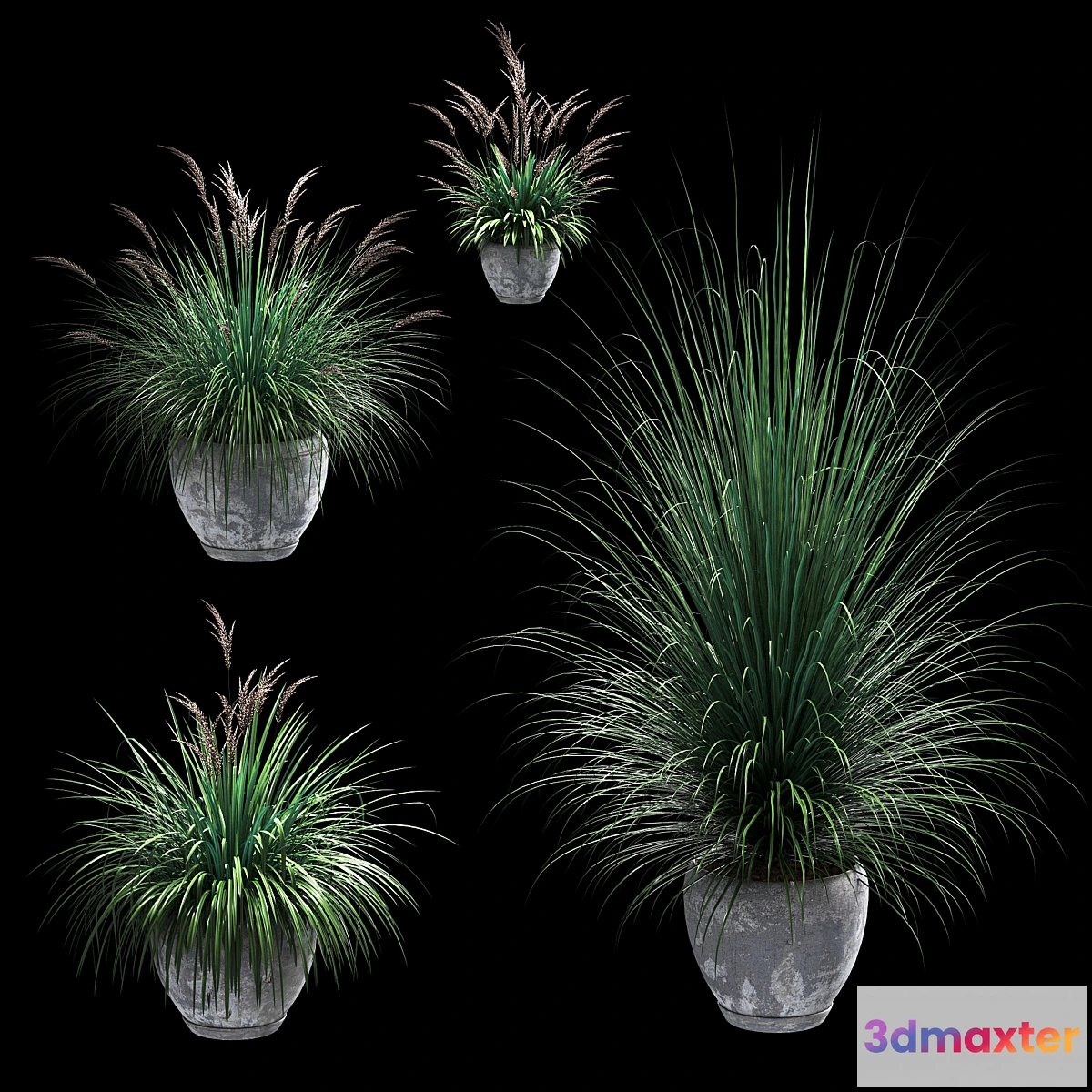 714566 - Outdoor potted plants. 4 models - No.2