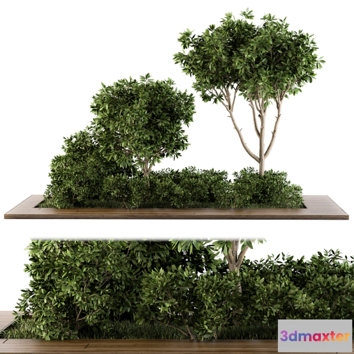 714584 - Garden set bush and Tree - Garden Set 07 - No.2